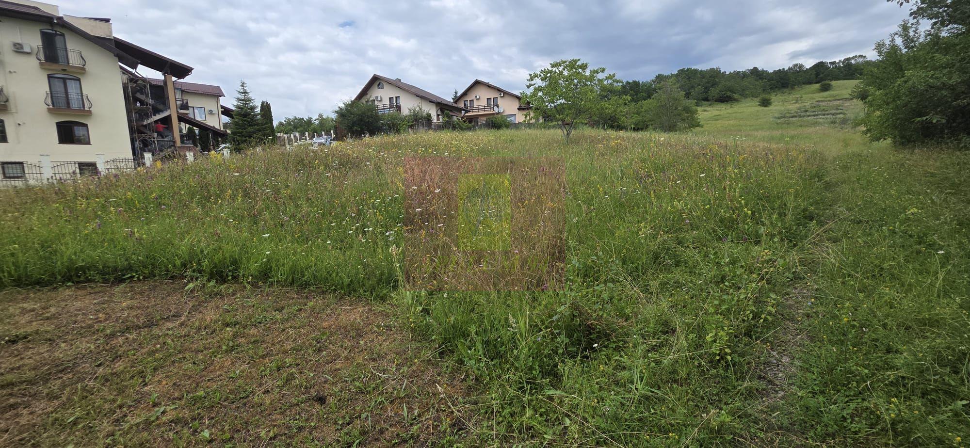 Teren de vanzare in Campina, Muscel - 5