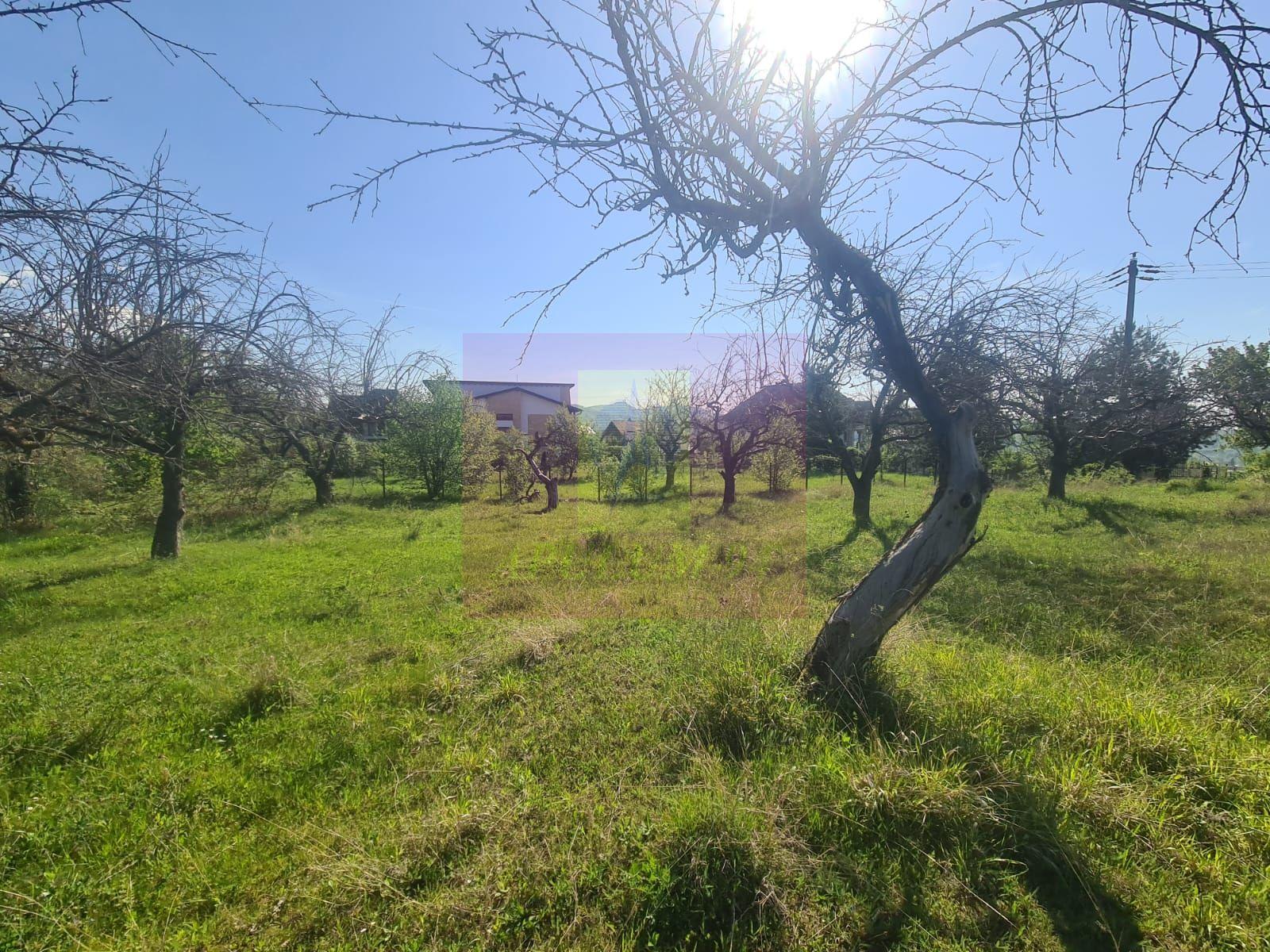 Teren de vanzare in Campina - 4