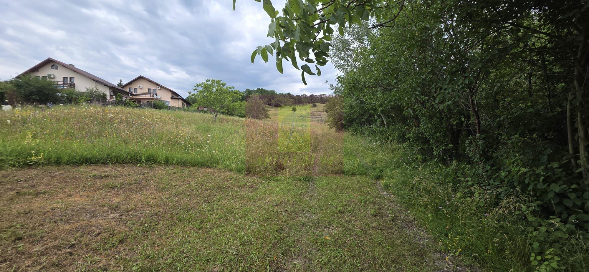 Teren de vanzare in Campina, Muscel - 2