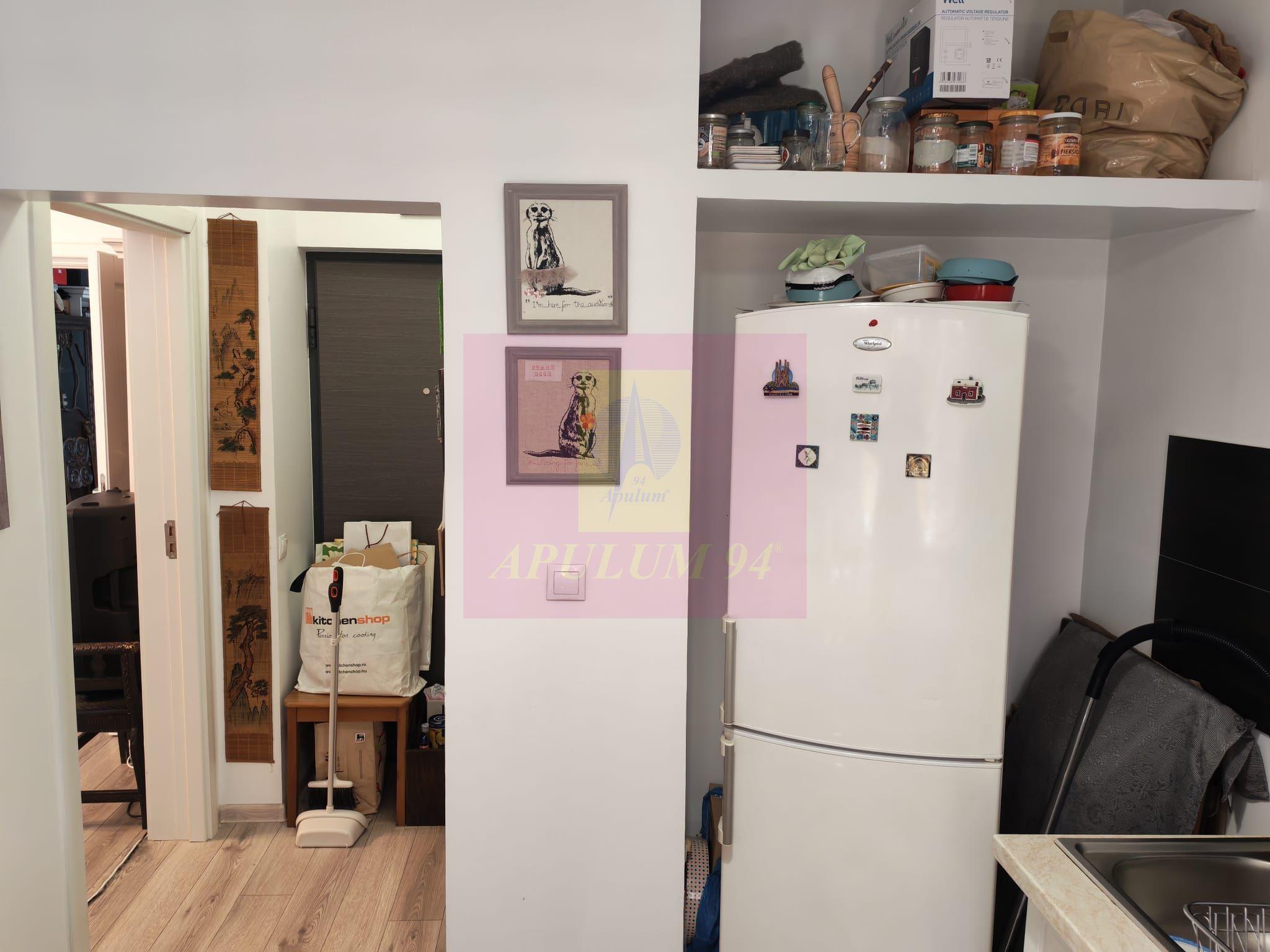 Foisorul de Foc-Mosilor, apartament de 2 camere - 11
