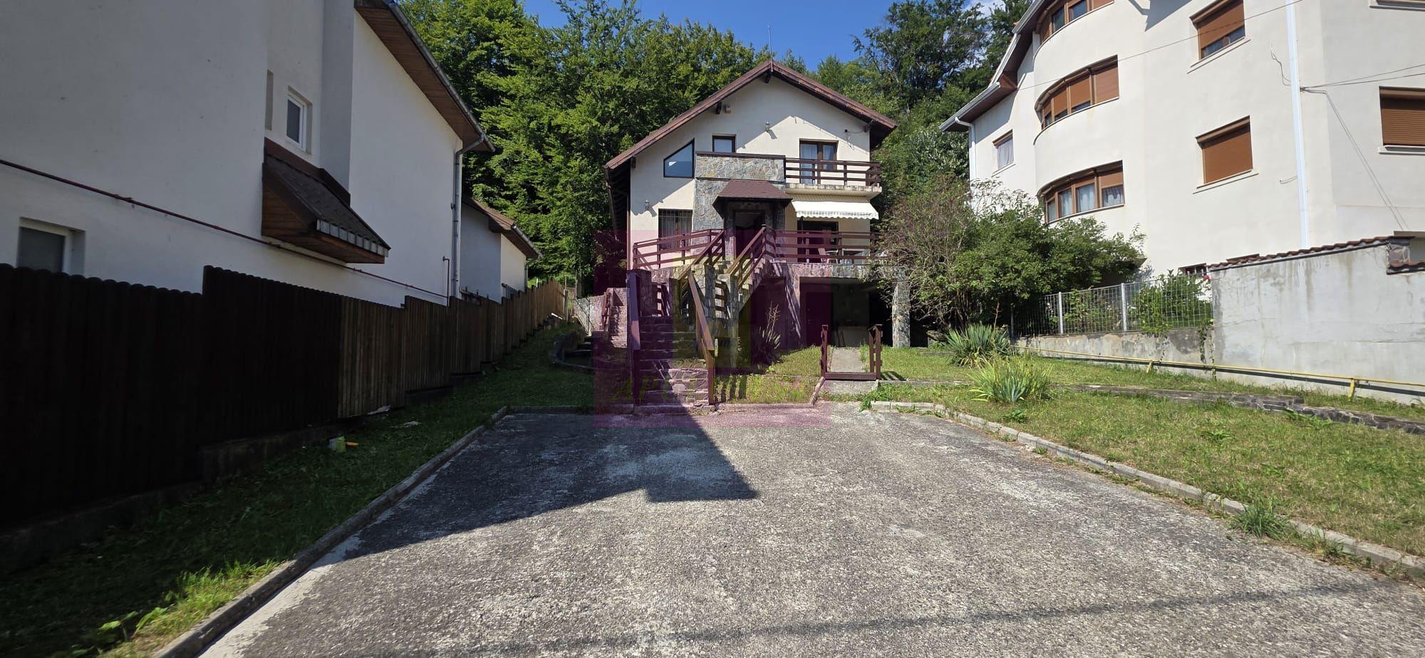 Vila in Sinaia cu parau in curte si view superb - 3
