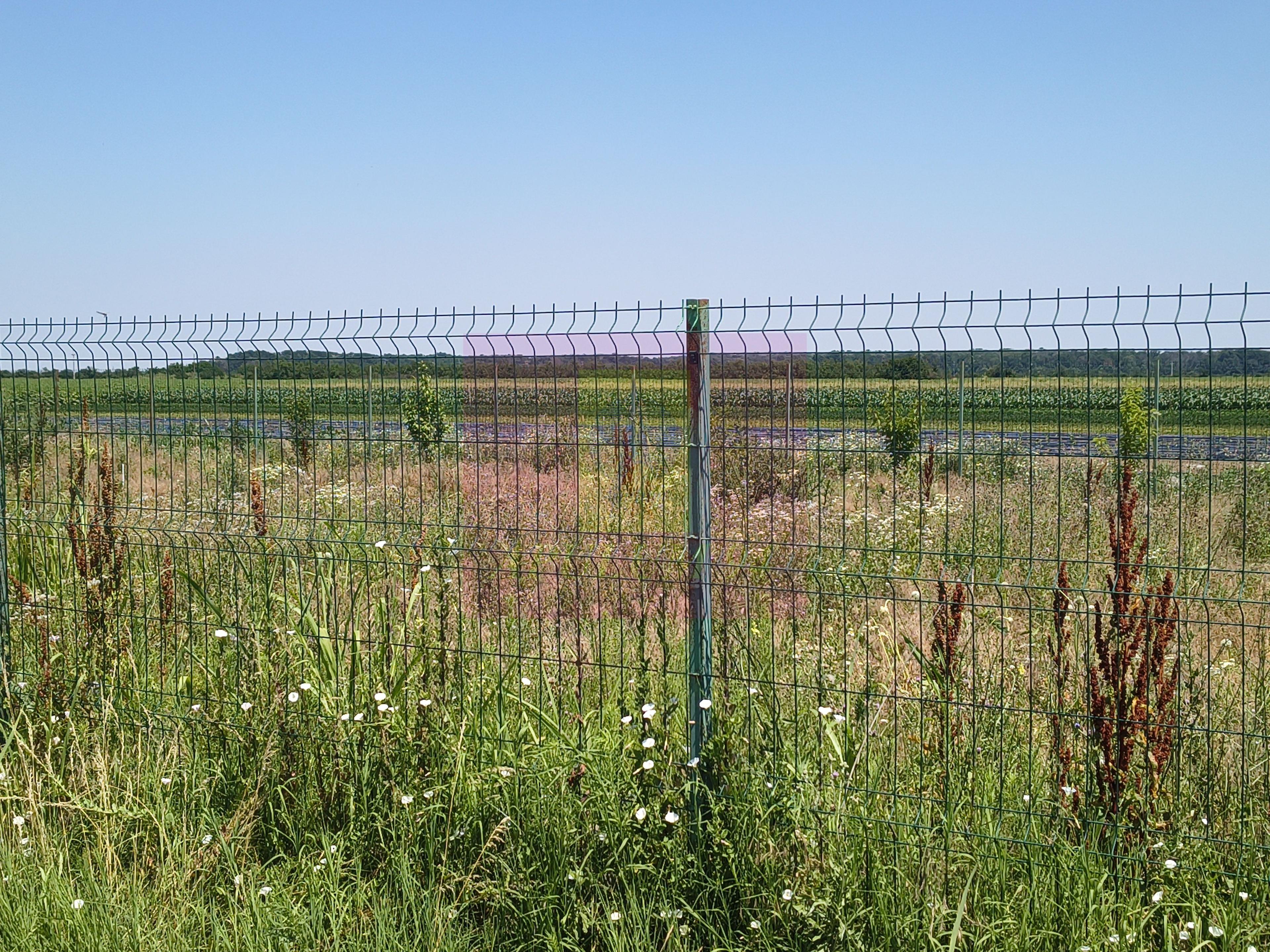 Teren pentru casă aproape de București - 12