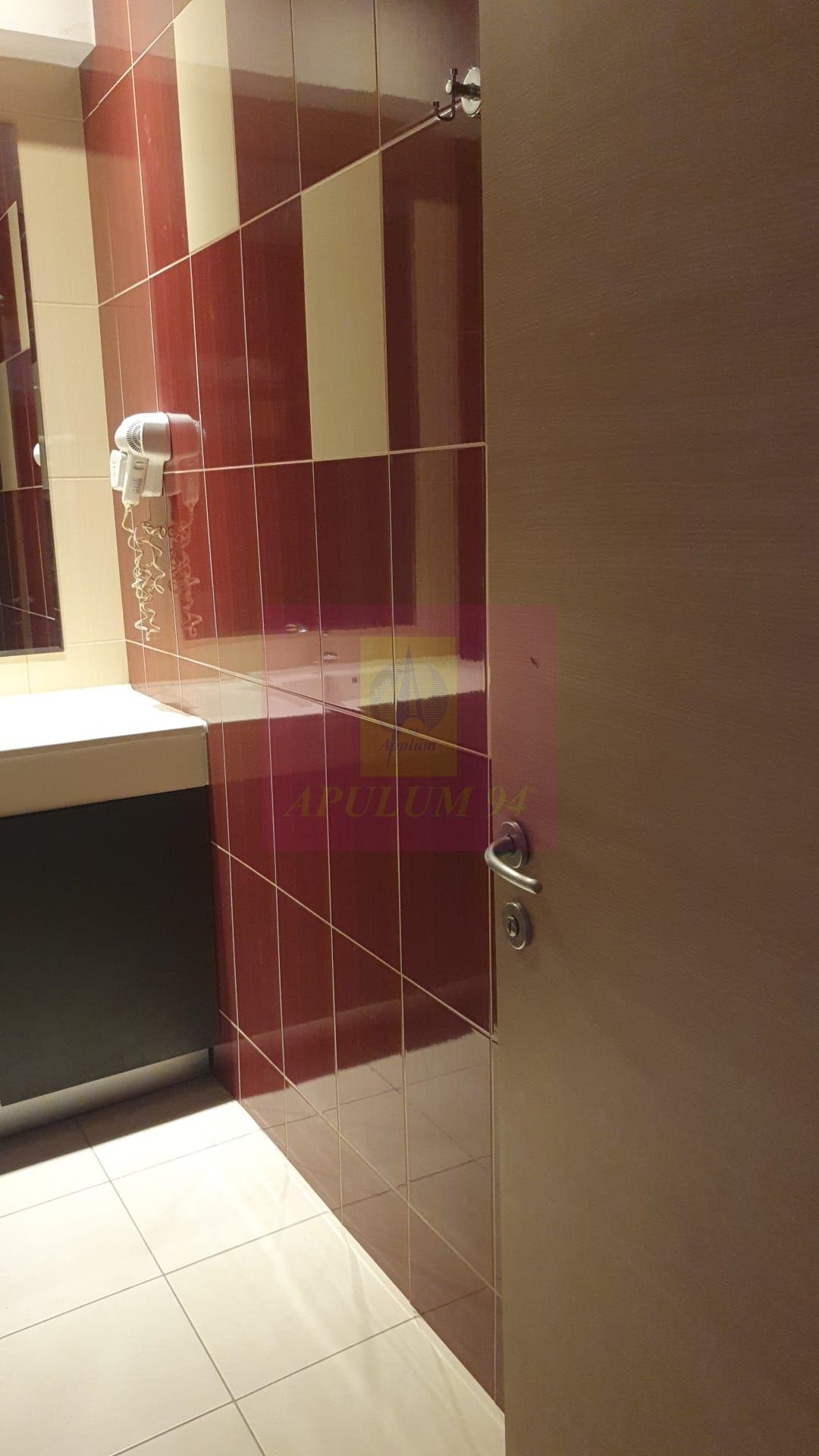 Apartament 2 camere spatios, mobilat, in Rin Grand Residence - 12
