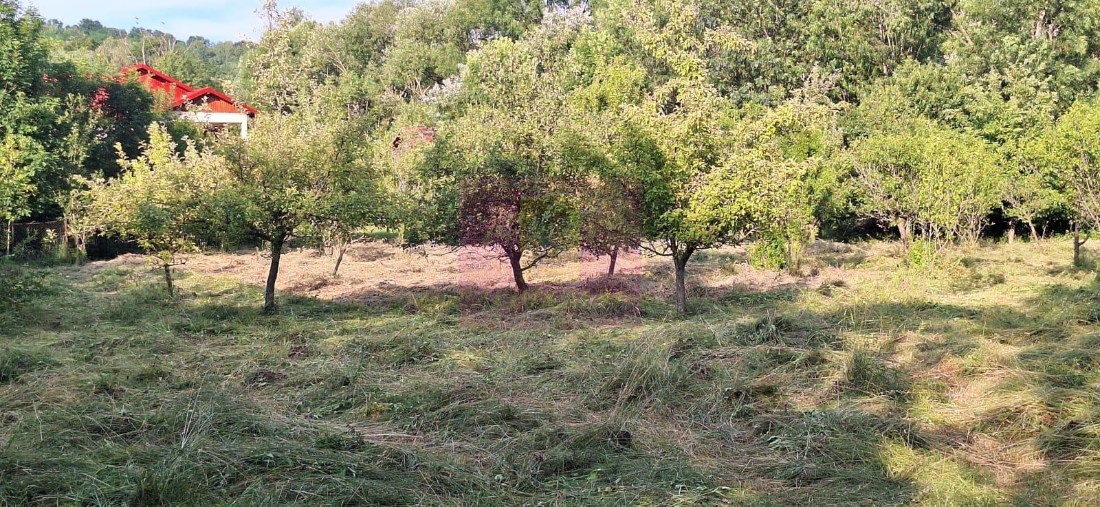 Vila de vanzare cu 6 camere si teren de 5116 mp in Cornu, Prahova - 36
