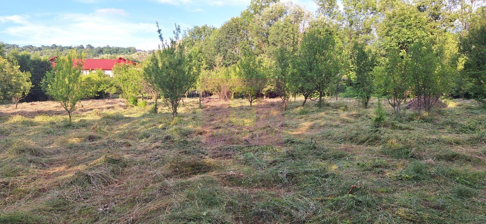 Vila de vanzare cu 6 camere si teren de 5116 mp in Cornu, Prahova - 34