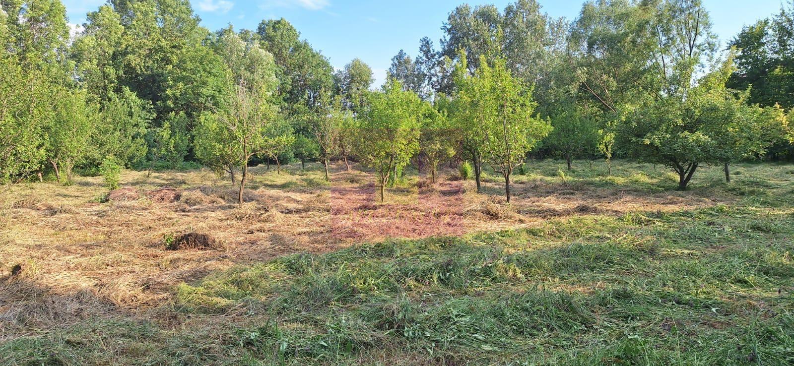Vila de vanzare cu 6 camere si teren de 5116 mp in Cornu, Prahova - 35