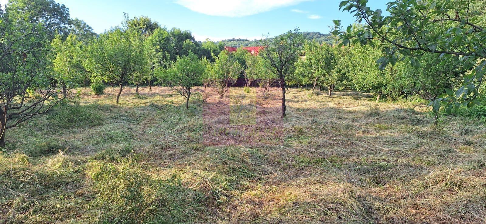Vila de vanzare cu 6 camere si teren de 5116 mp in Cornu, Prahova - 48