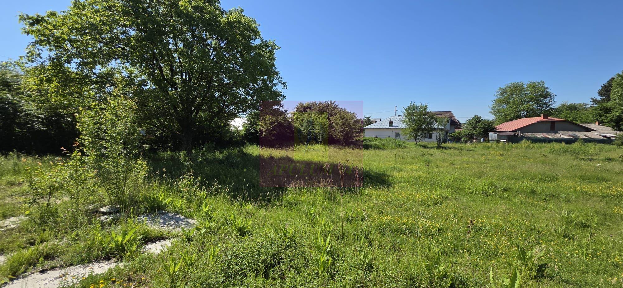 Teren intravila 40.679 mp in Campina, dezvoltare imobiliara - 5