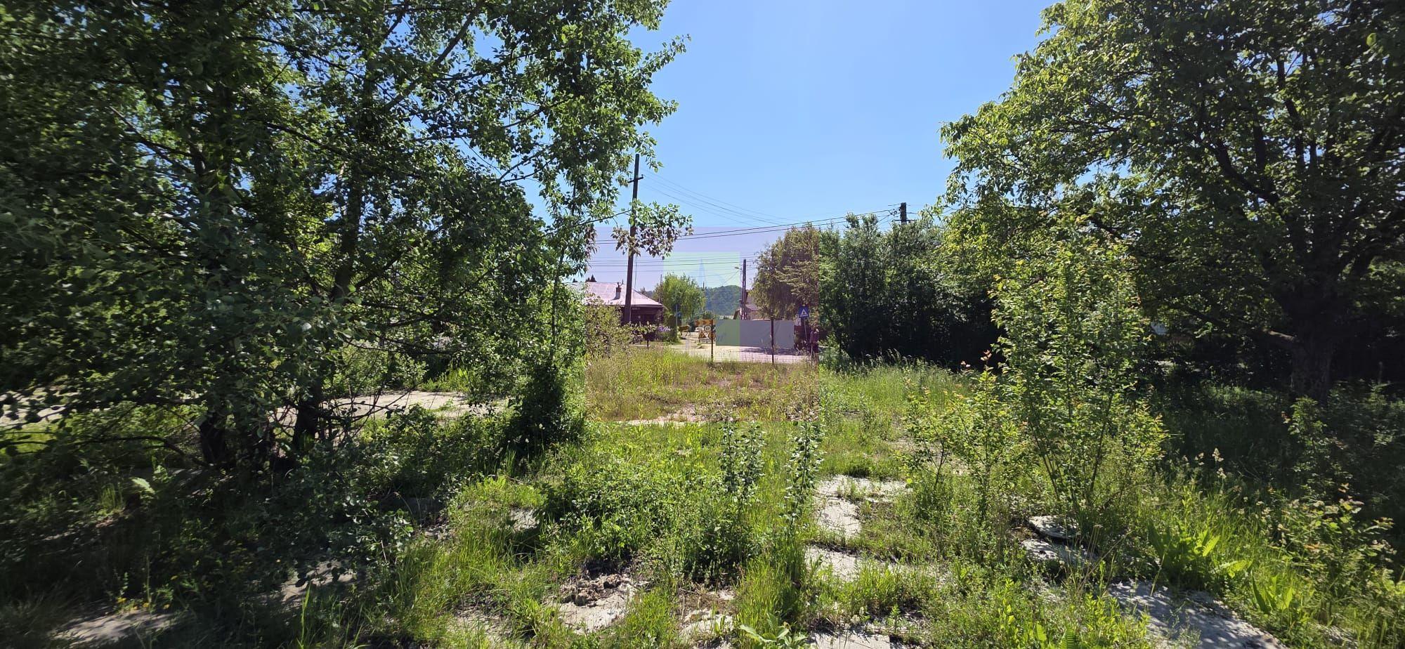 Teren intravila 40.679 mp in Campina, dezvoltare imobiliara - 6