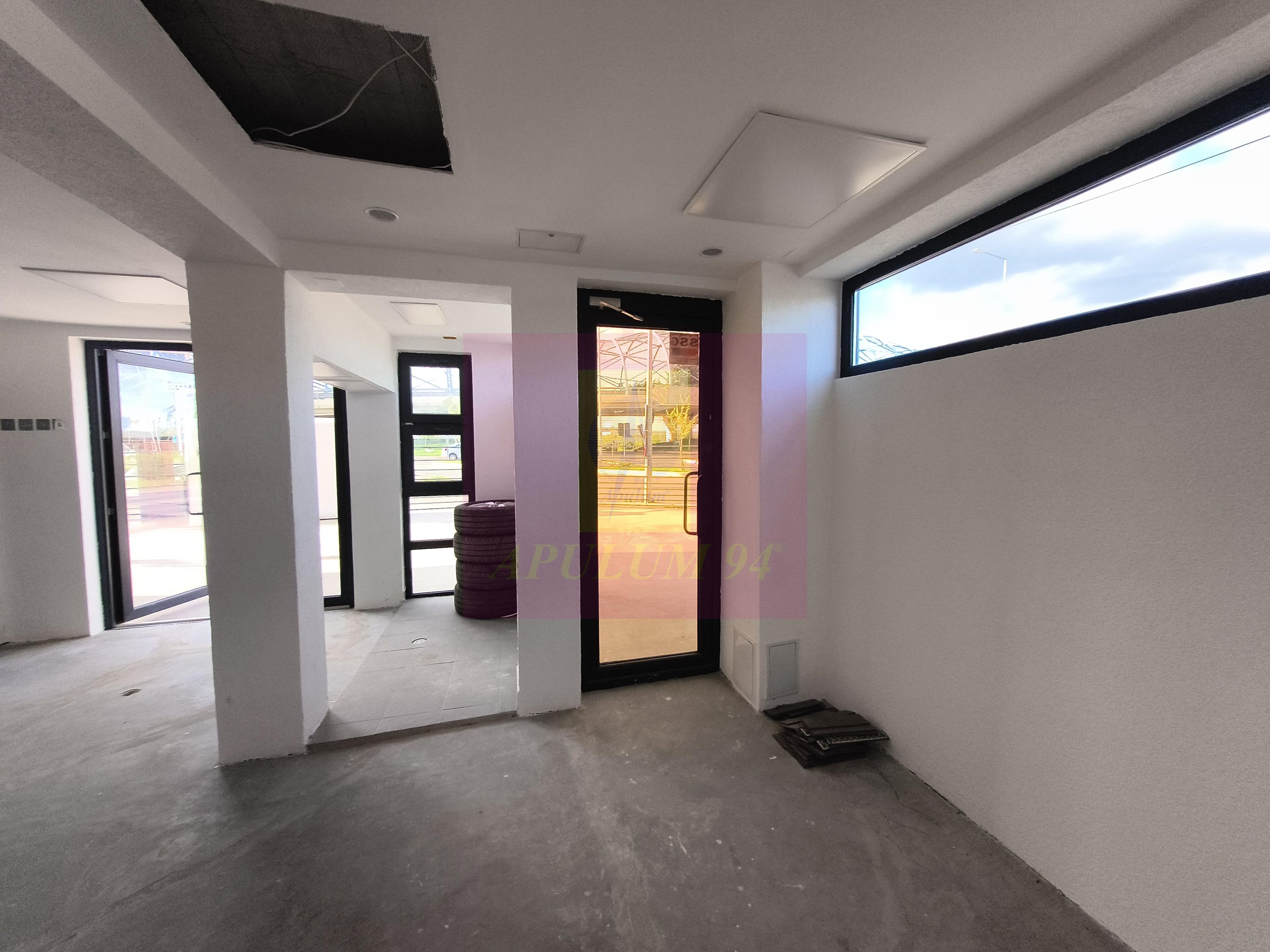 Spațiu comercial pretabil minimarket lângă Pasajul Theodor Pallady - 8
