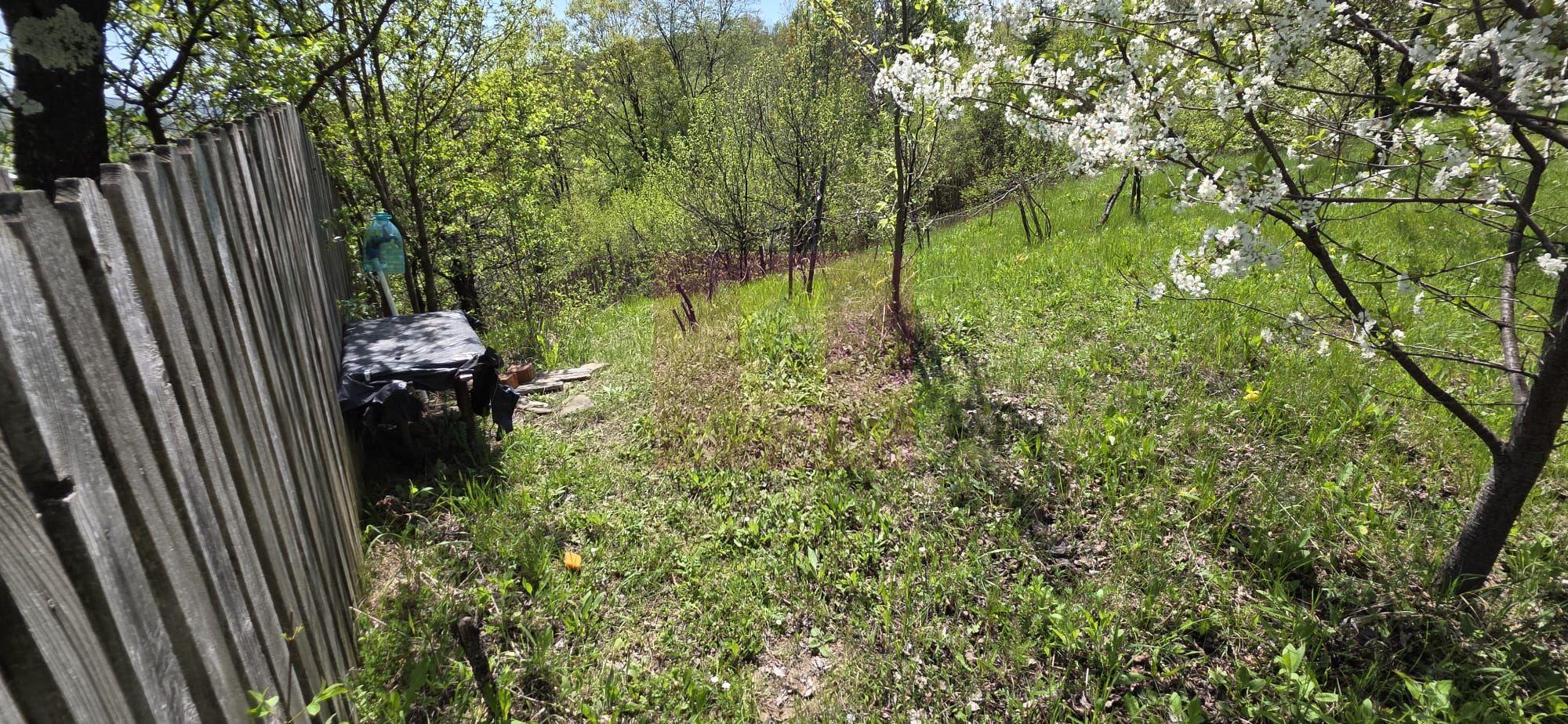 Teren cu Casuta de lemn in Sotrile (langă Valea Doftanei) - 9