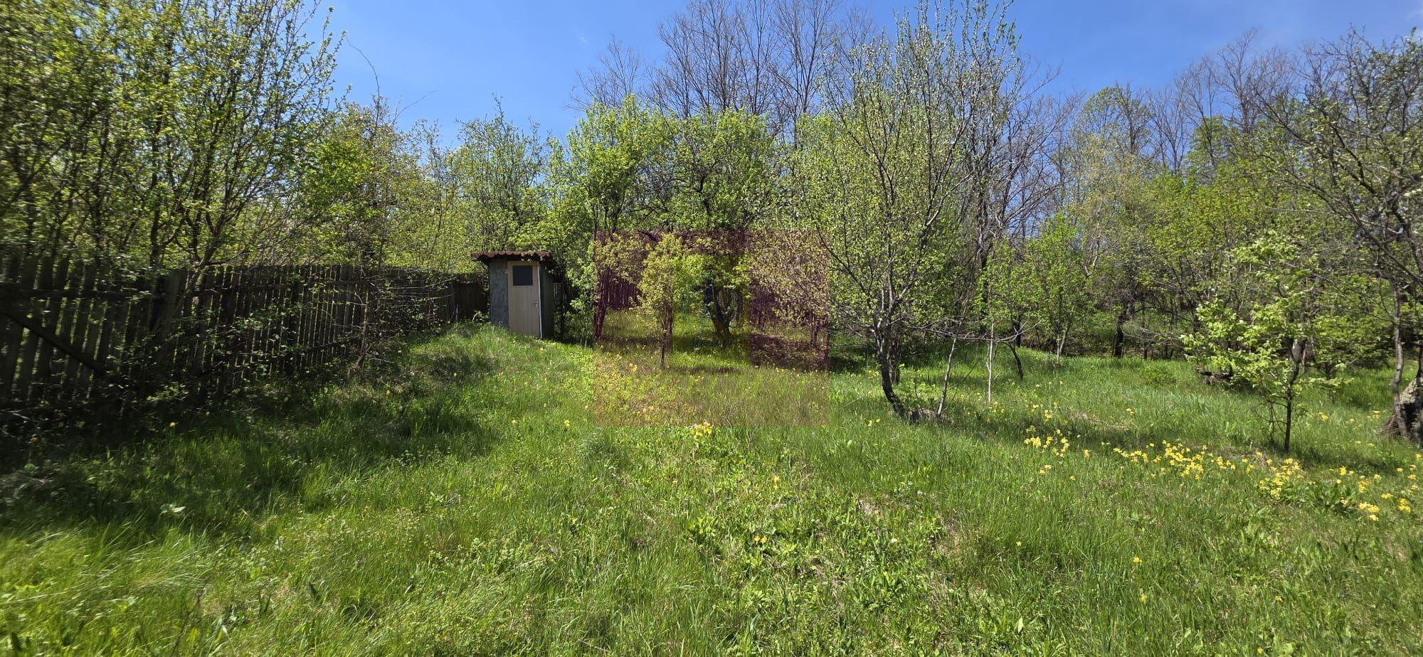 Teren cu Casuta de lemn in Sotrile (langă Valea Doftanei) - 11