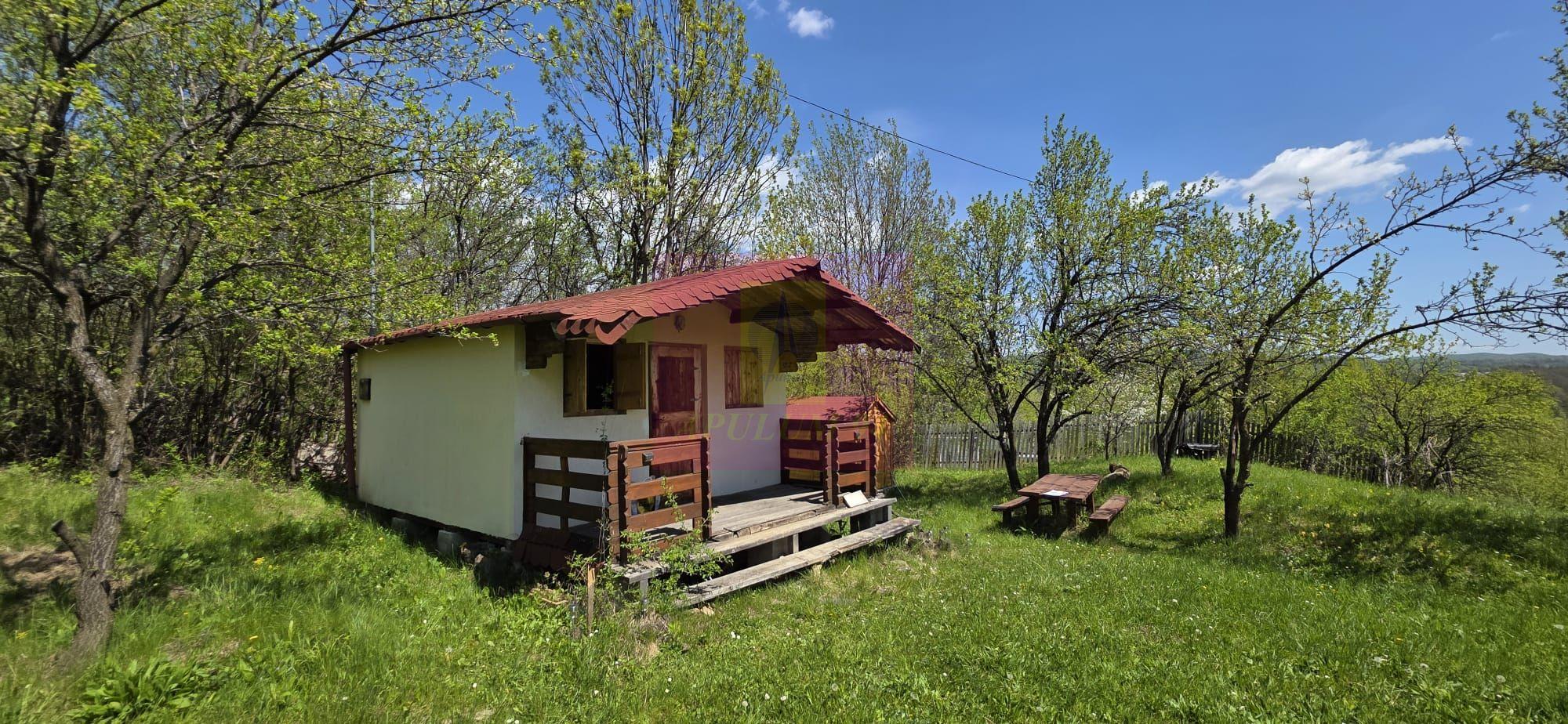Teren cu Casuta de lemn in Sotrile (langă Valea Doftanei) - 2