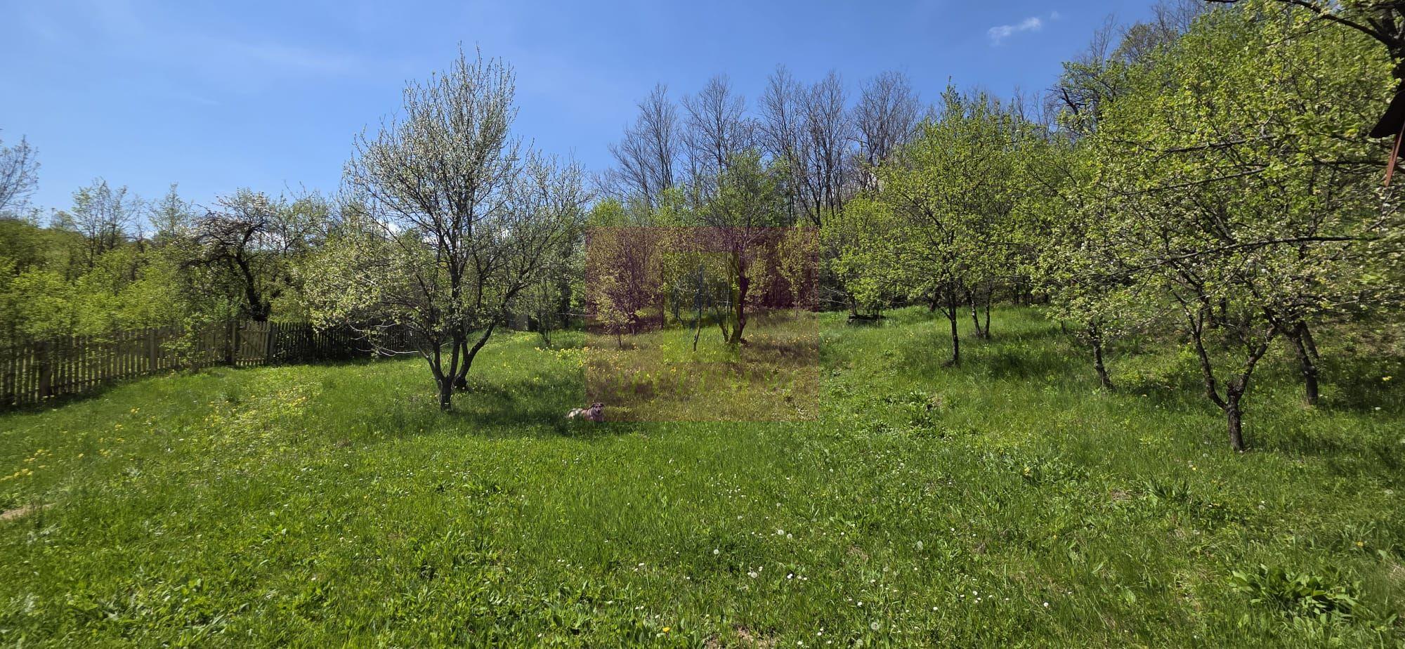 Teren cu Casuta de lemn in Sotrile (langă Valea Doftanei) - 4