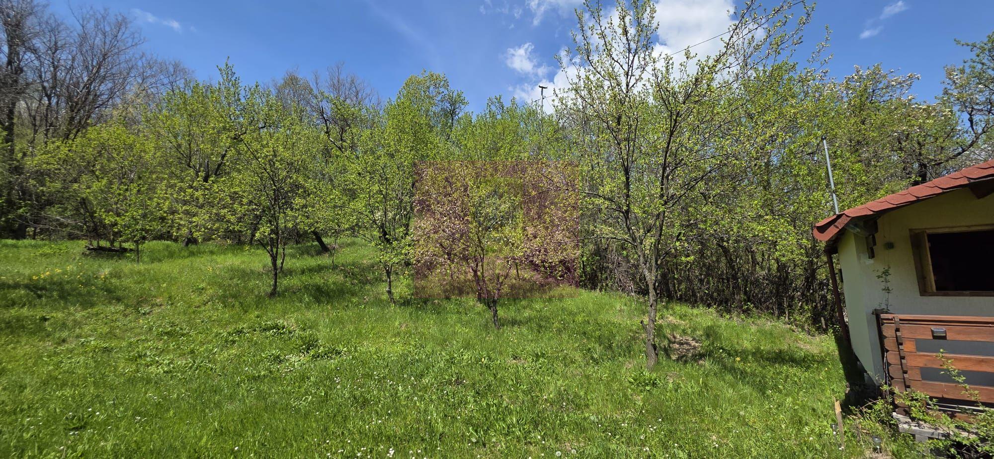 Teren cu Casuta de lemn in Sotrile (langă Valea Doftanei) - 5