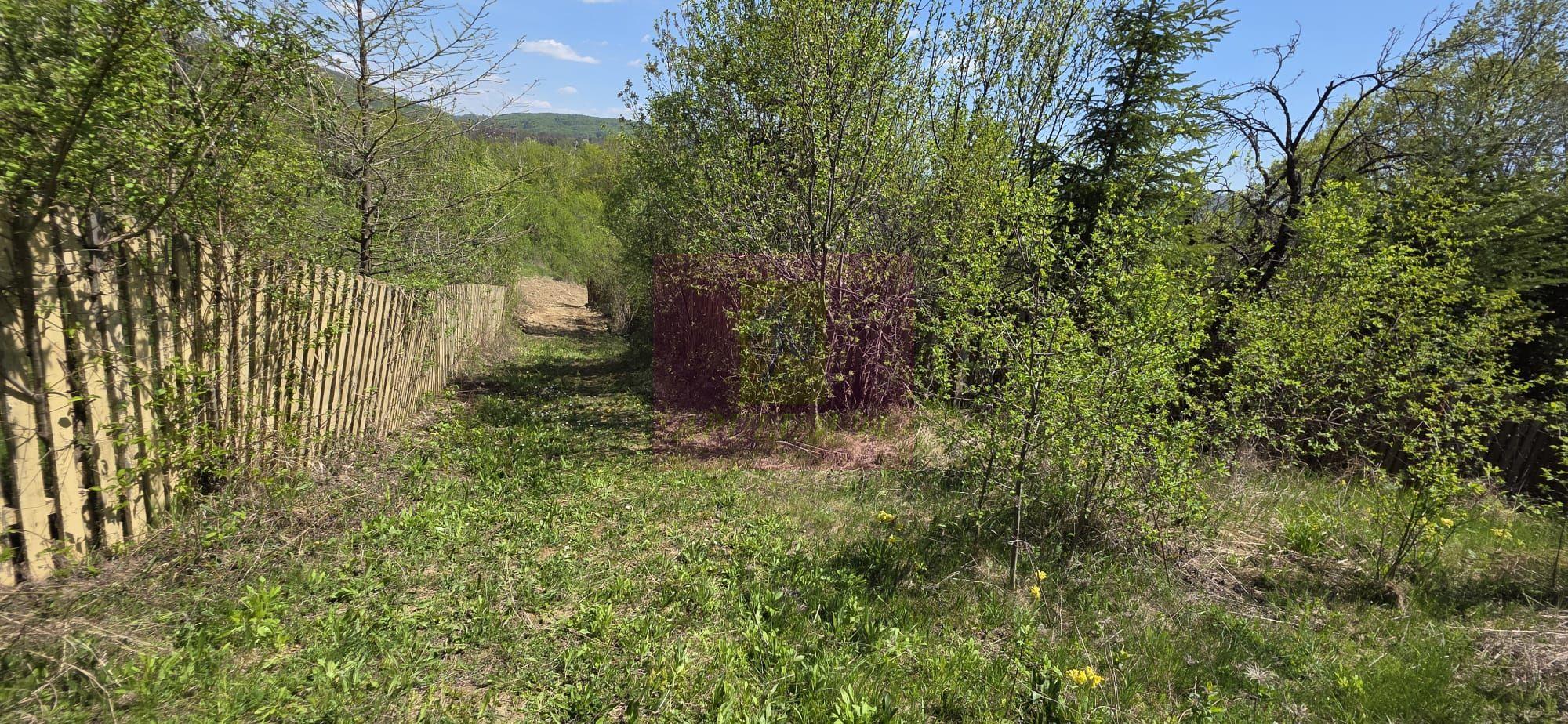 Teren cu Casuta de lemn in Sotrile (langă Valea Doftanei) - 16