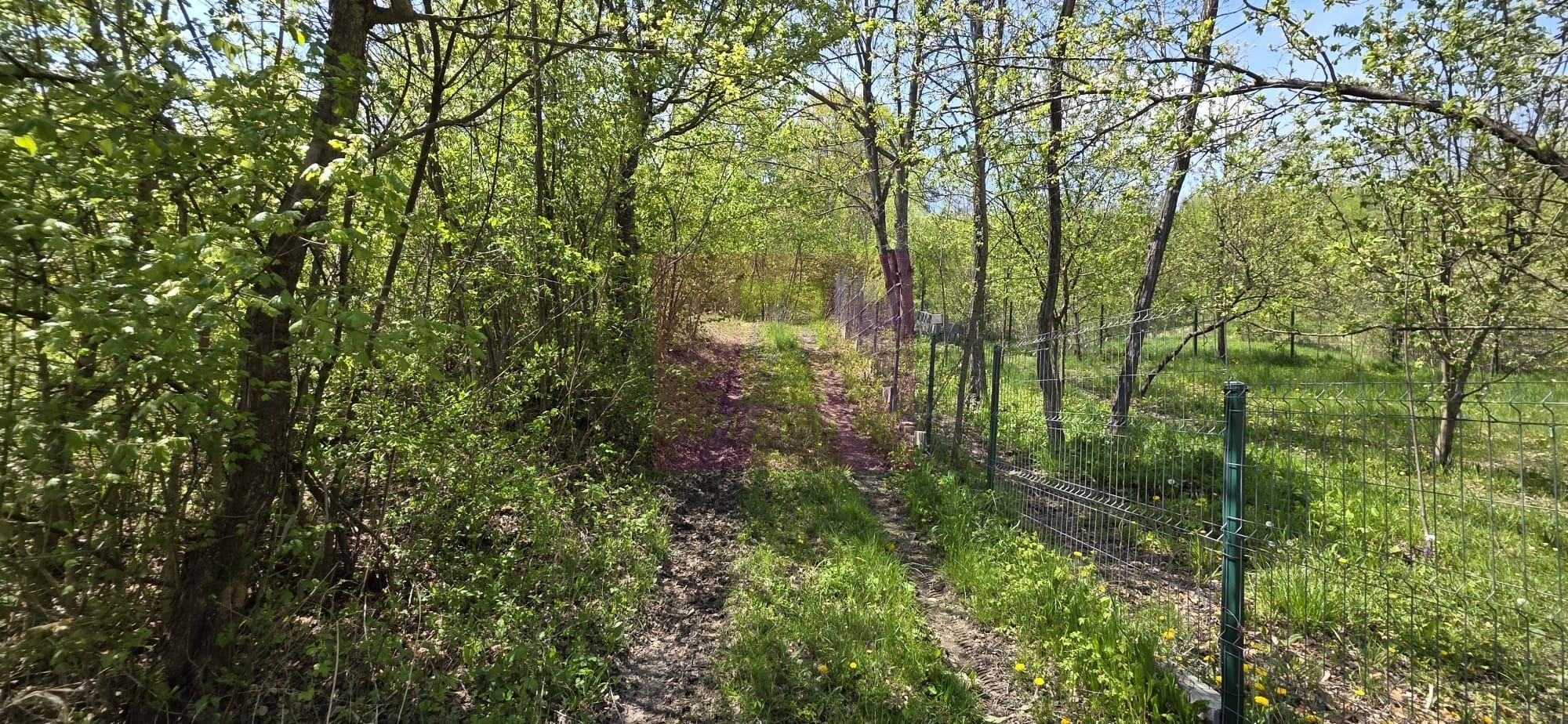 Teren cu Casuta de lemn in Sotrile (langă Valea Doftanei) - 13