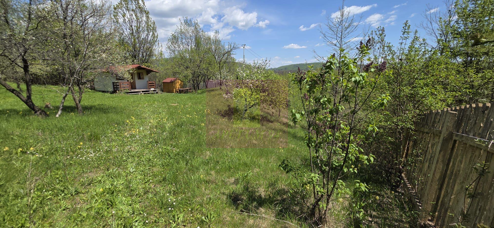 Teren cu Casuta de lemn in Sotrile (langă Valea Doftanei) - 10