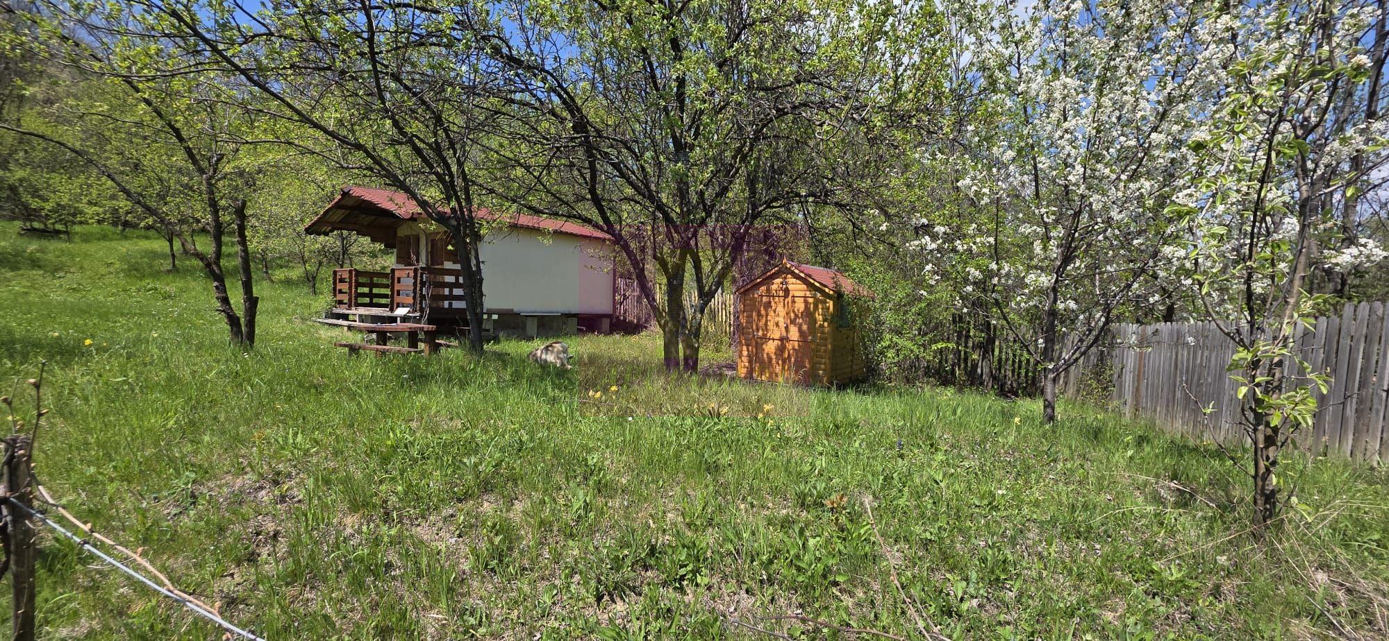 Teren cu Casuta de lemn in Sotrile (langă Valea Doftanei) - 1
