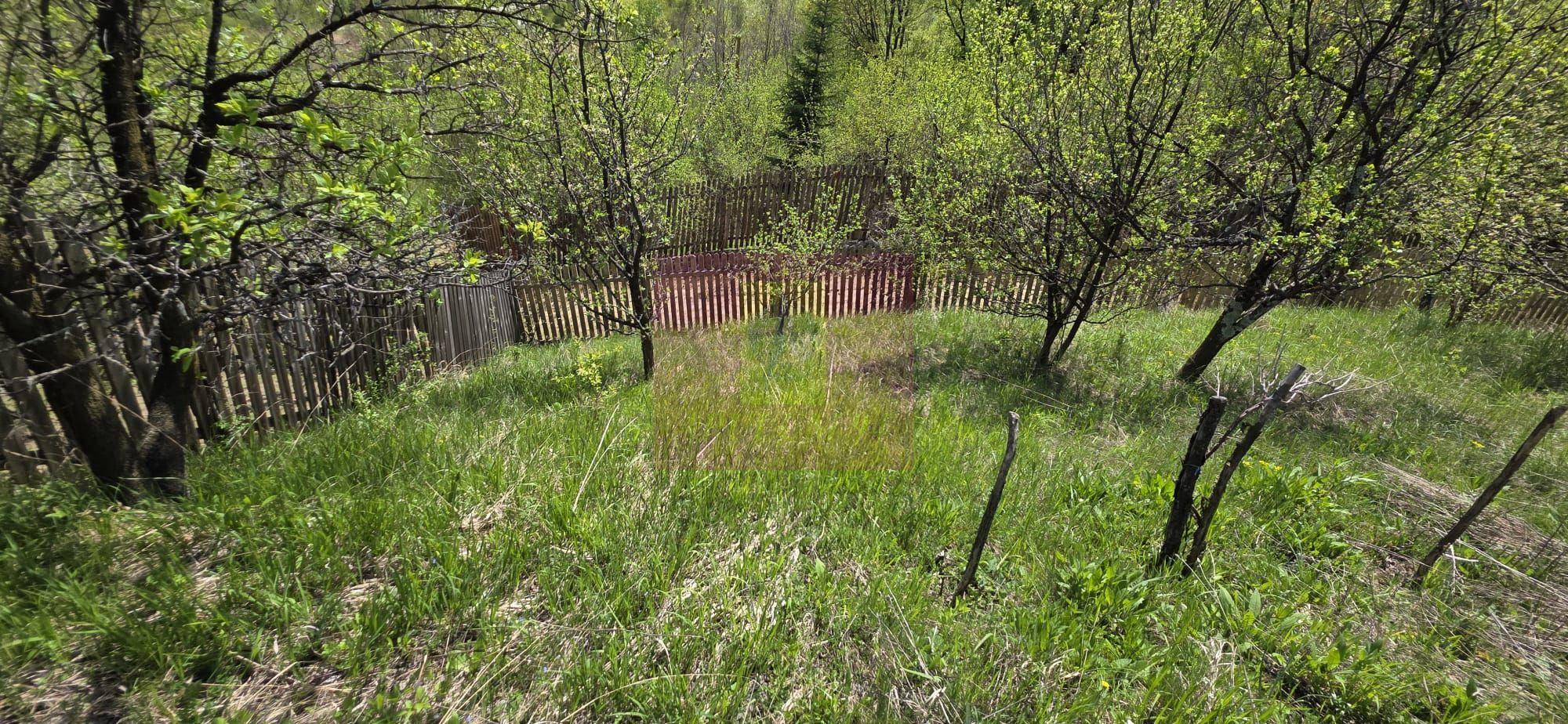 Teren cu Casuta de lemn in Sotrile (langă Valea Doftanei) - 14