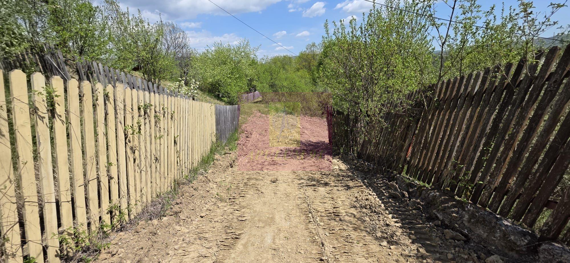 Teren cu Casuta de lemn in Sotrile (langă Valea Doftanei) - 15