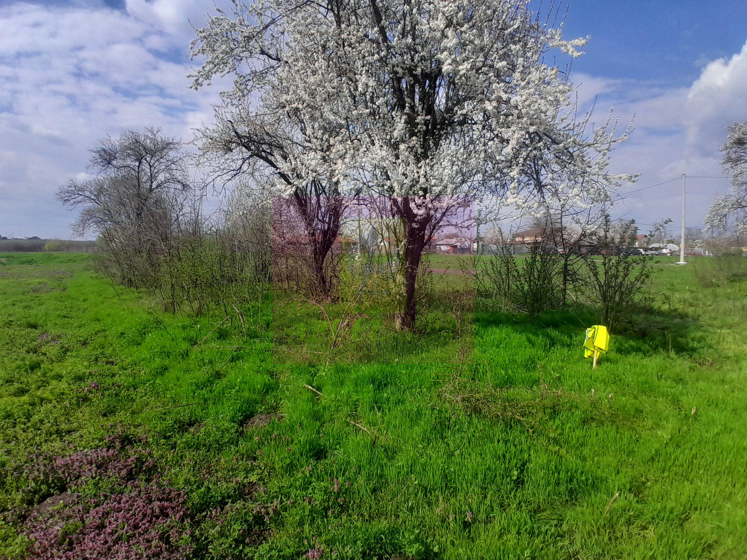 GIURGIU - SE VINDE TEREN 3400 MP IN SAT PODU ILFOVATULUI - 28