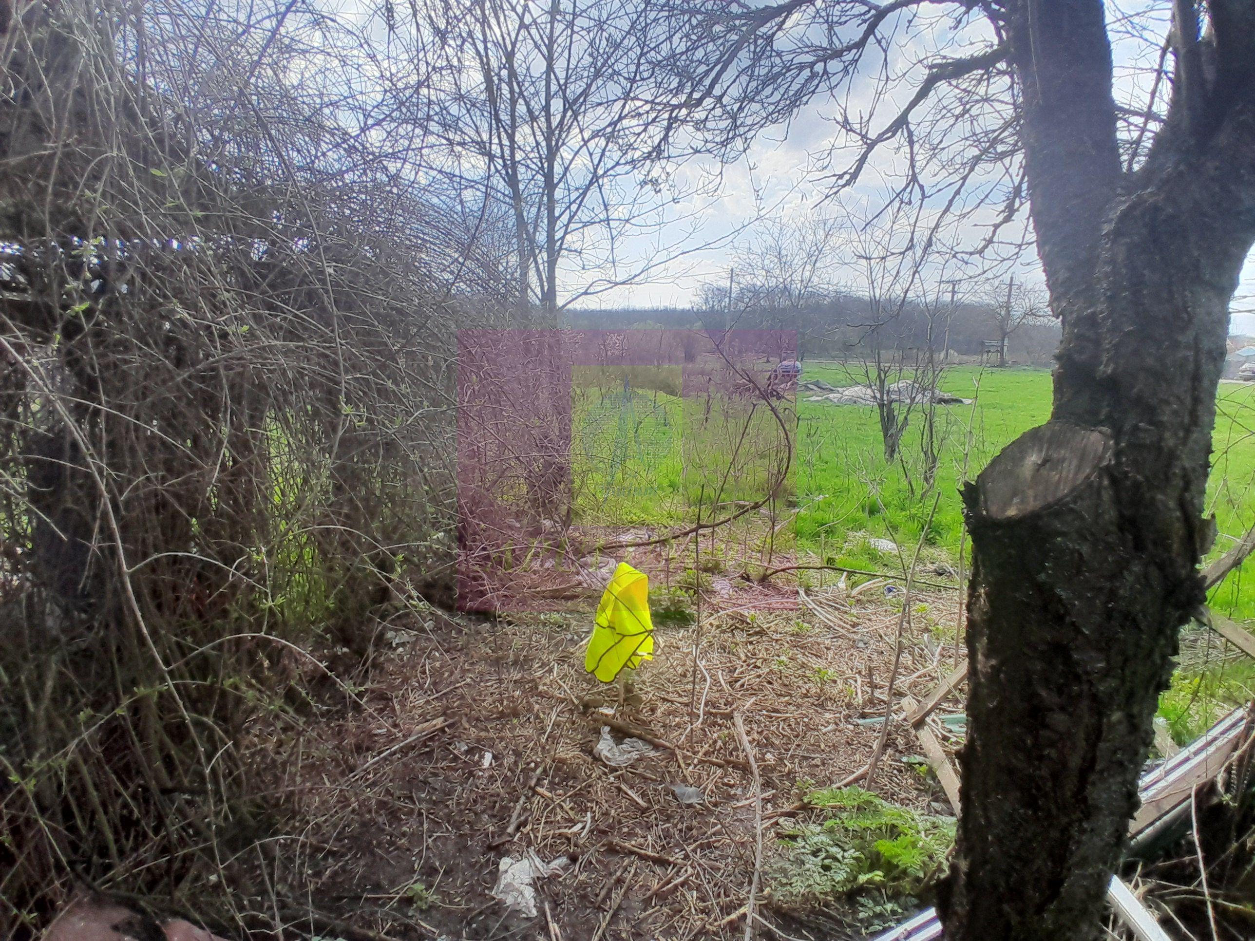GIURGIU - SE VINDE TEREN 3400 MP IN SAT PODU ILFOVATULUI - 30