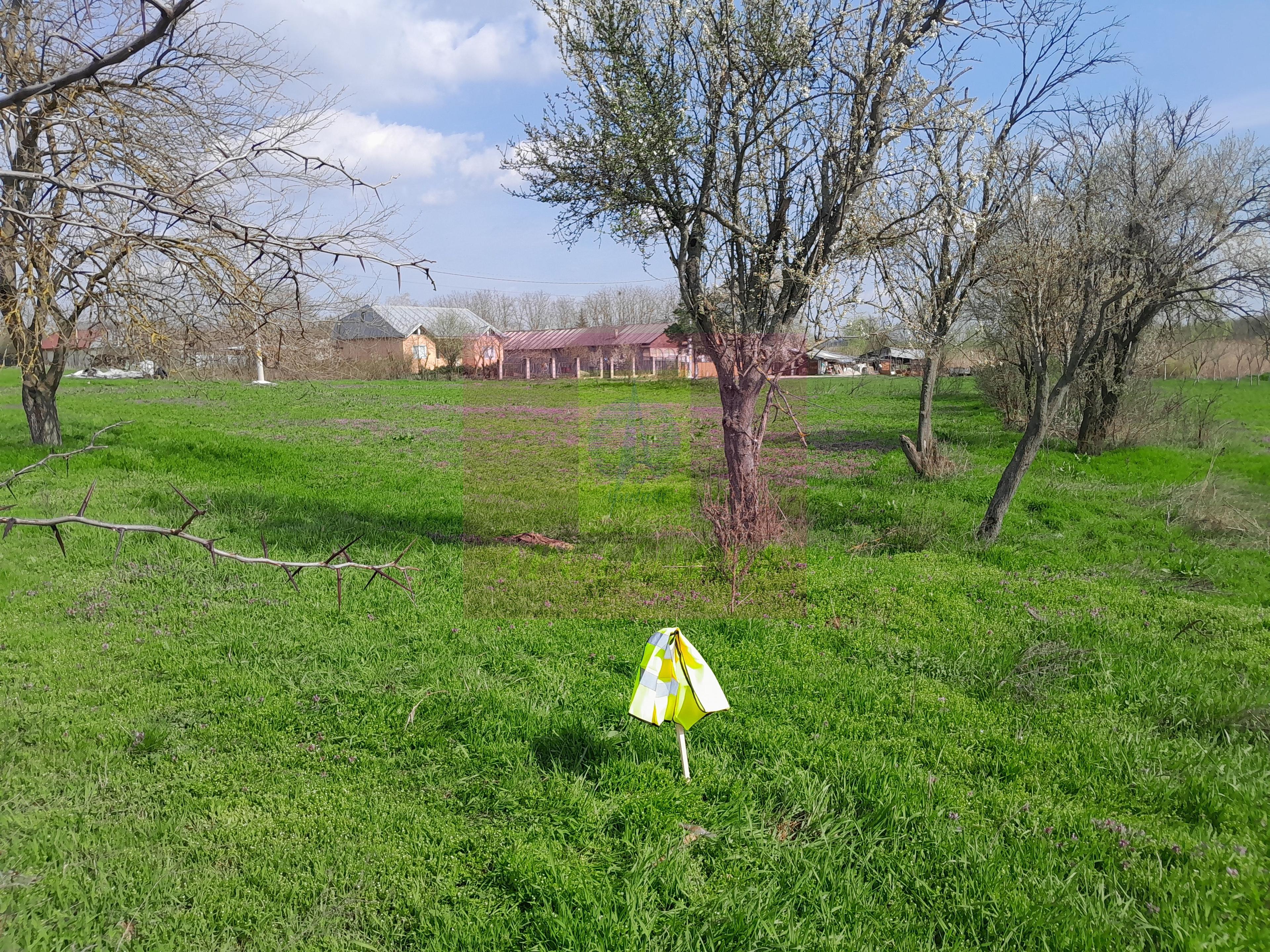GIURGIU - SE VINDE TEREN 3400 MP IN SAT PODU ILFOVATULUI - 32