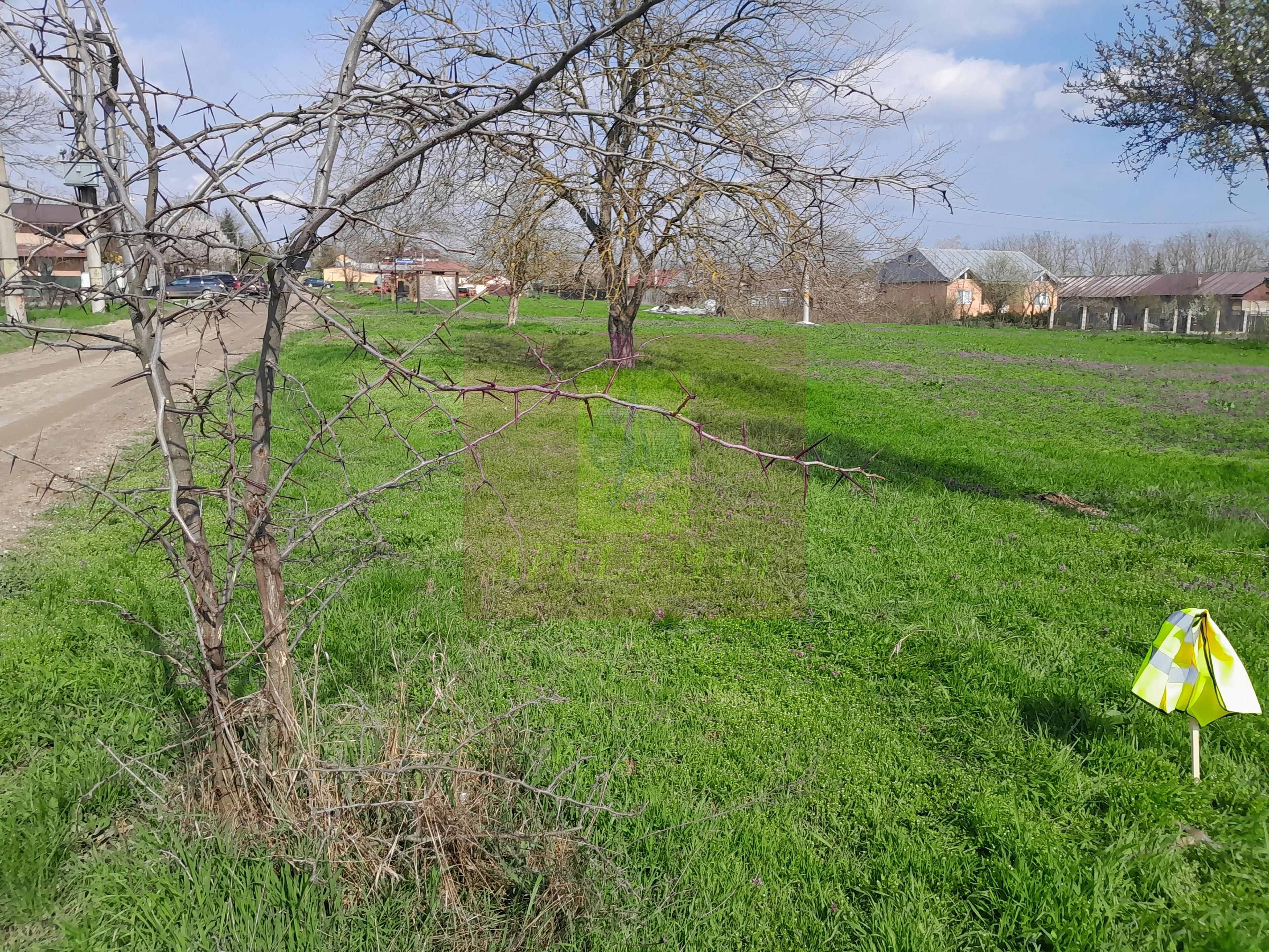 GIURGIU - SE VINDE TEREN 3400 MP IN SAT PODU ILFOVATULUI - 33
