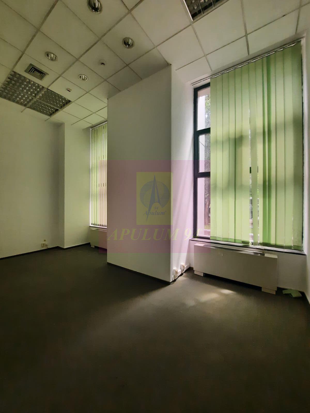 Inchiriere spatiu comercial bd Unirii, vitrina 25ml, stradal - 3