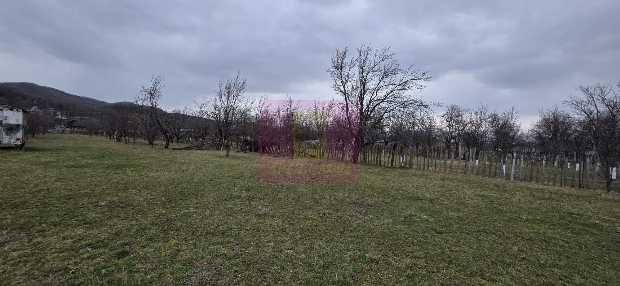 Teren 734 mp intravilan de vanzare in Brebu - 5