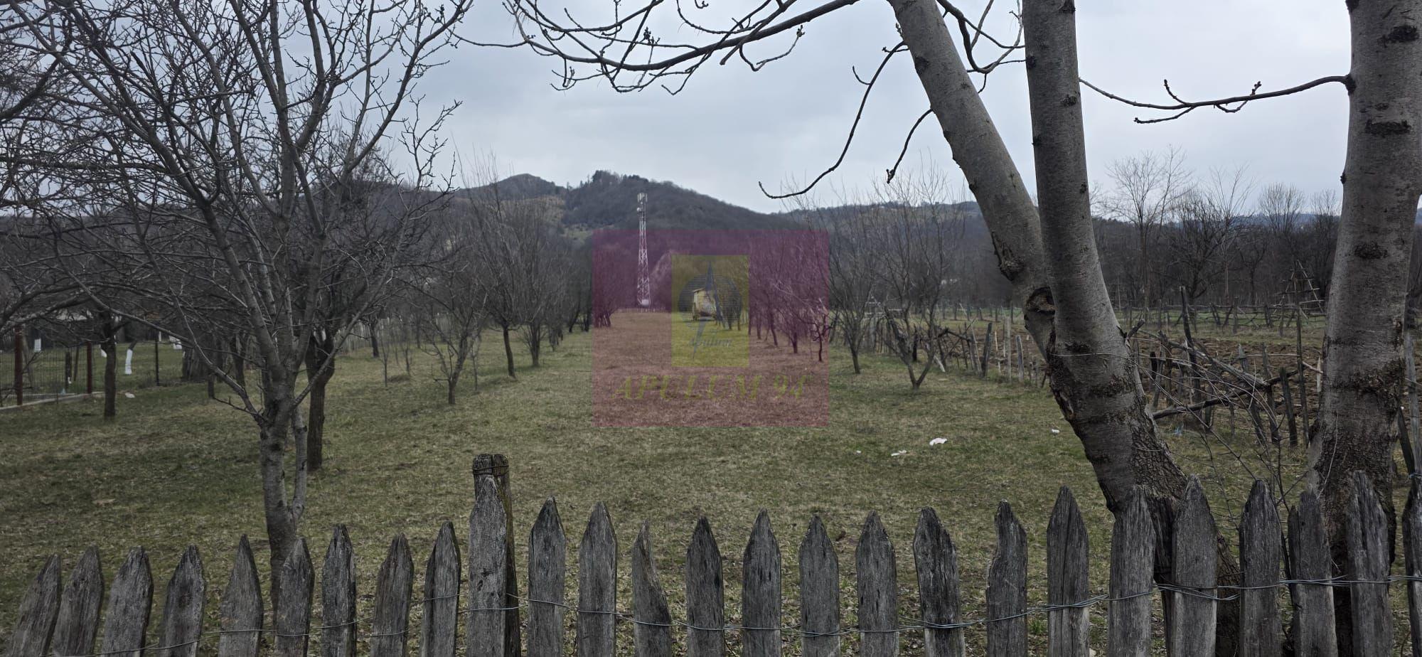 Teren 734 mp intravilan de vanzare in Brebu - 8