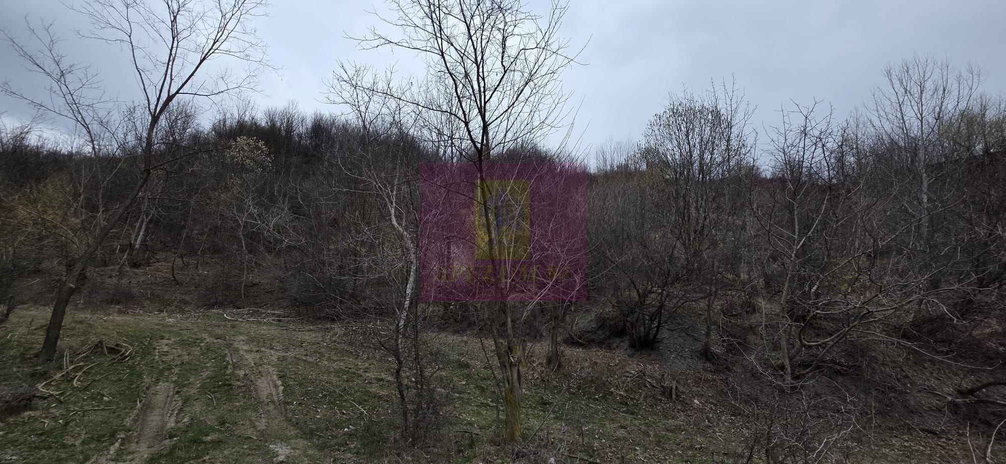 Teren de vanzare in Brebu - Raul Doftana - 6