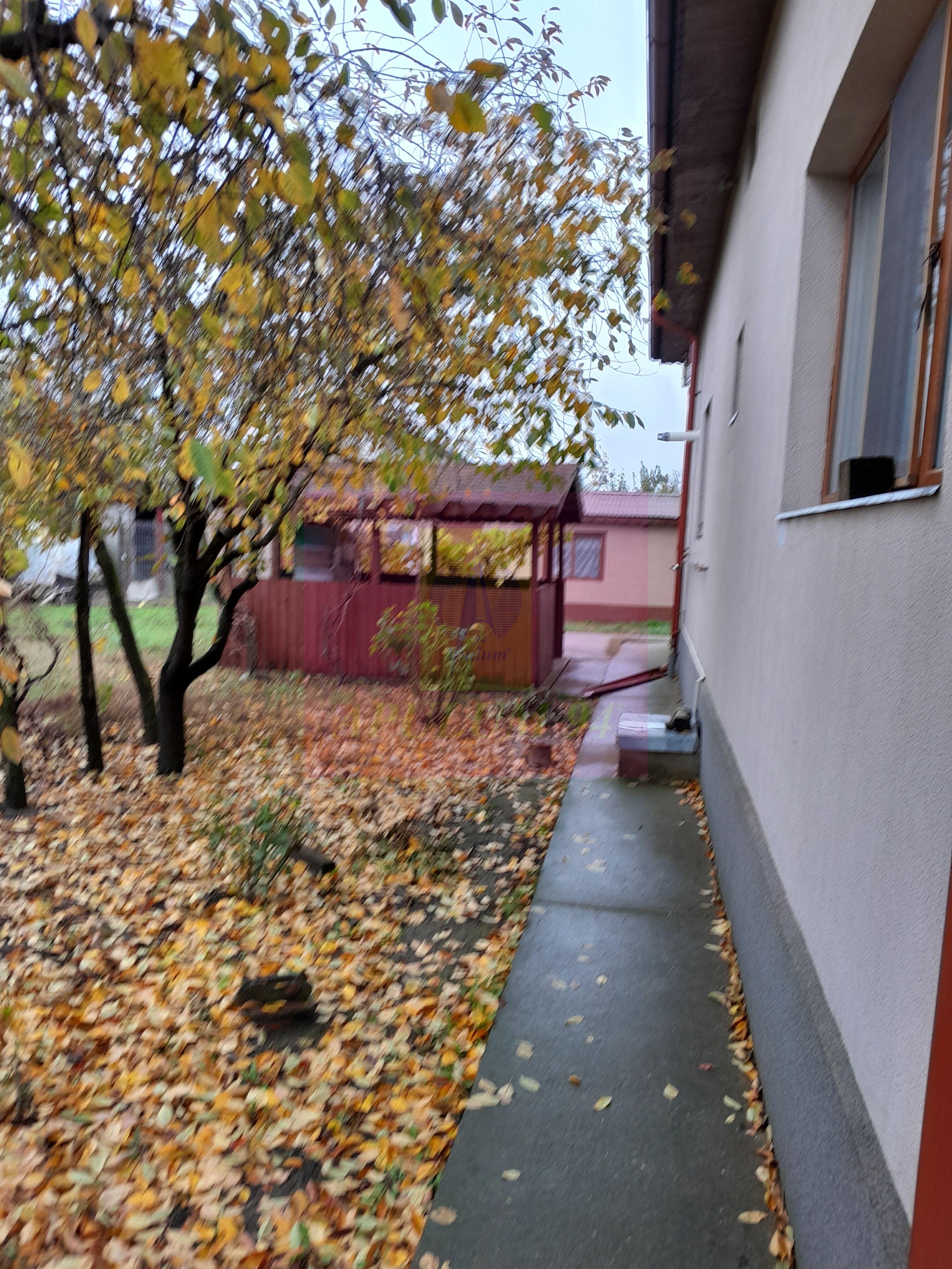 ILFOV - SE VINDE CASA IN ISLAZ / COM. BRANESTI - 47