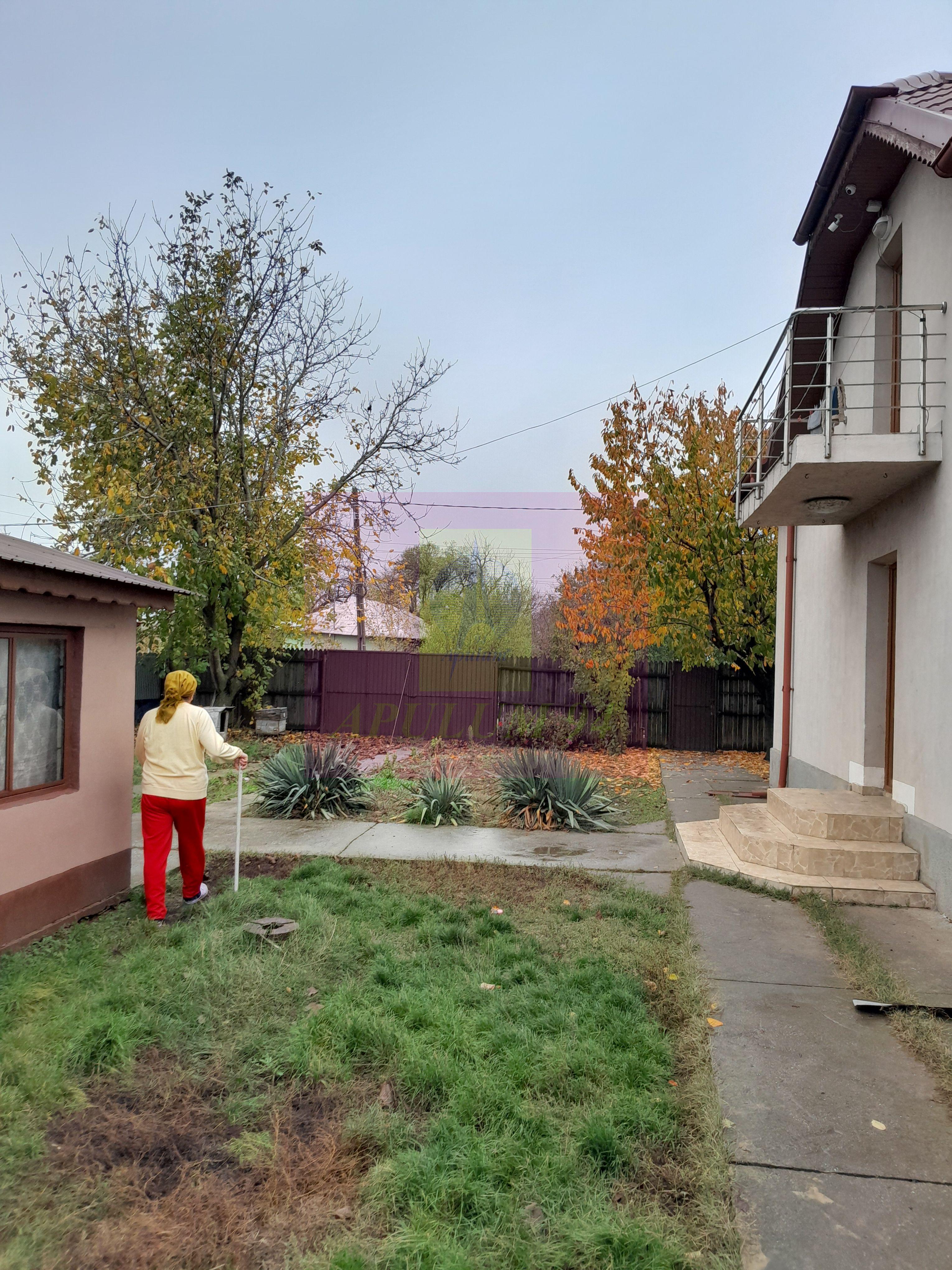 ILFOV - SE VINDE CASA IN ISLAZ / COM. BRANESTI - 46