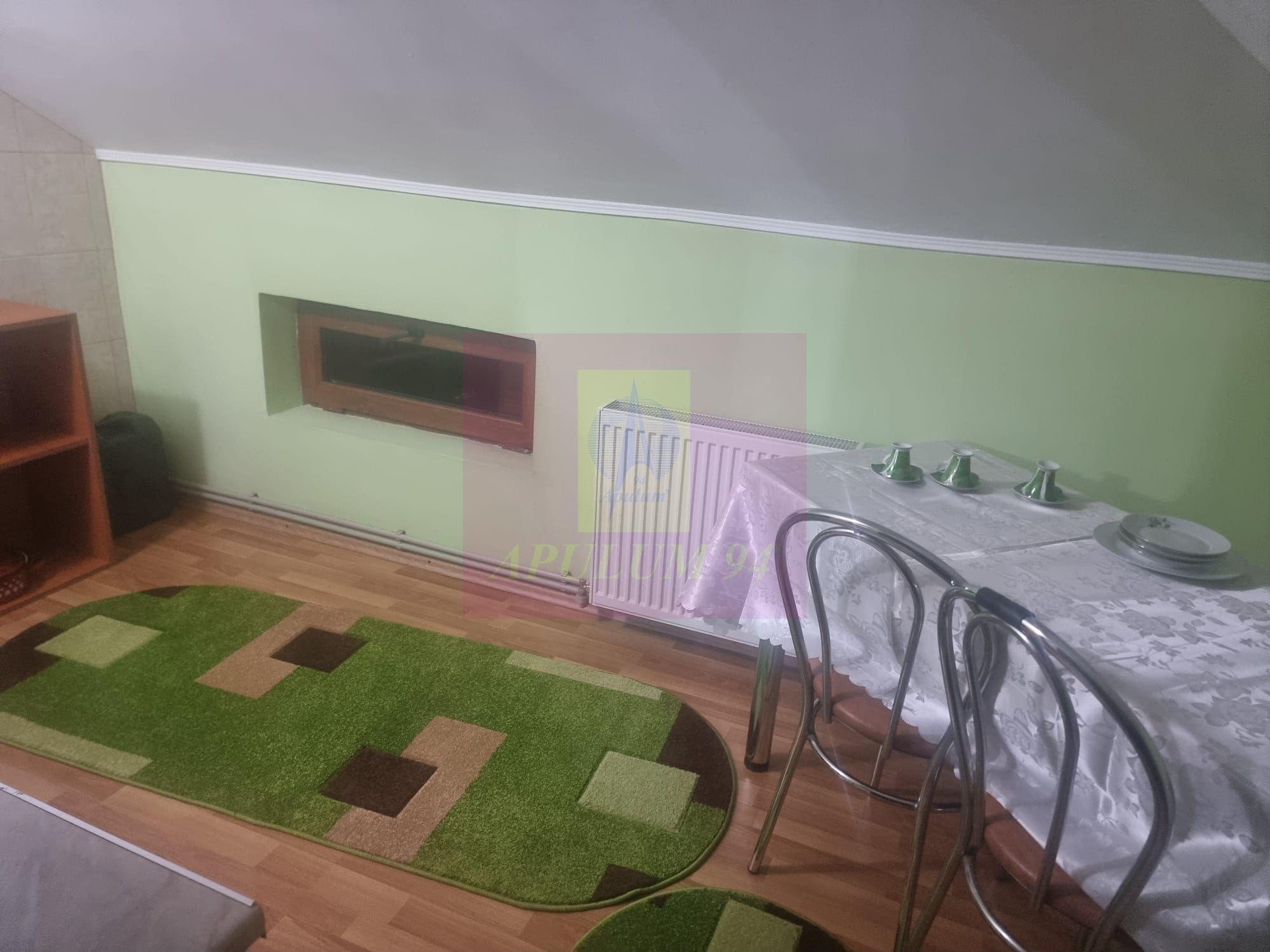 ILFOV - SE VINDE CASA IN ISLAZ / COM. BRANESTI - 19