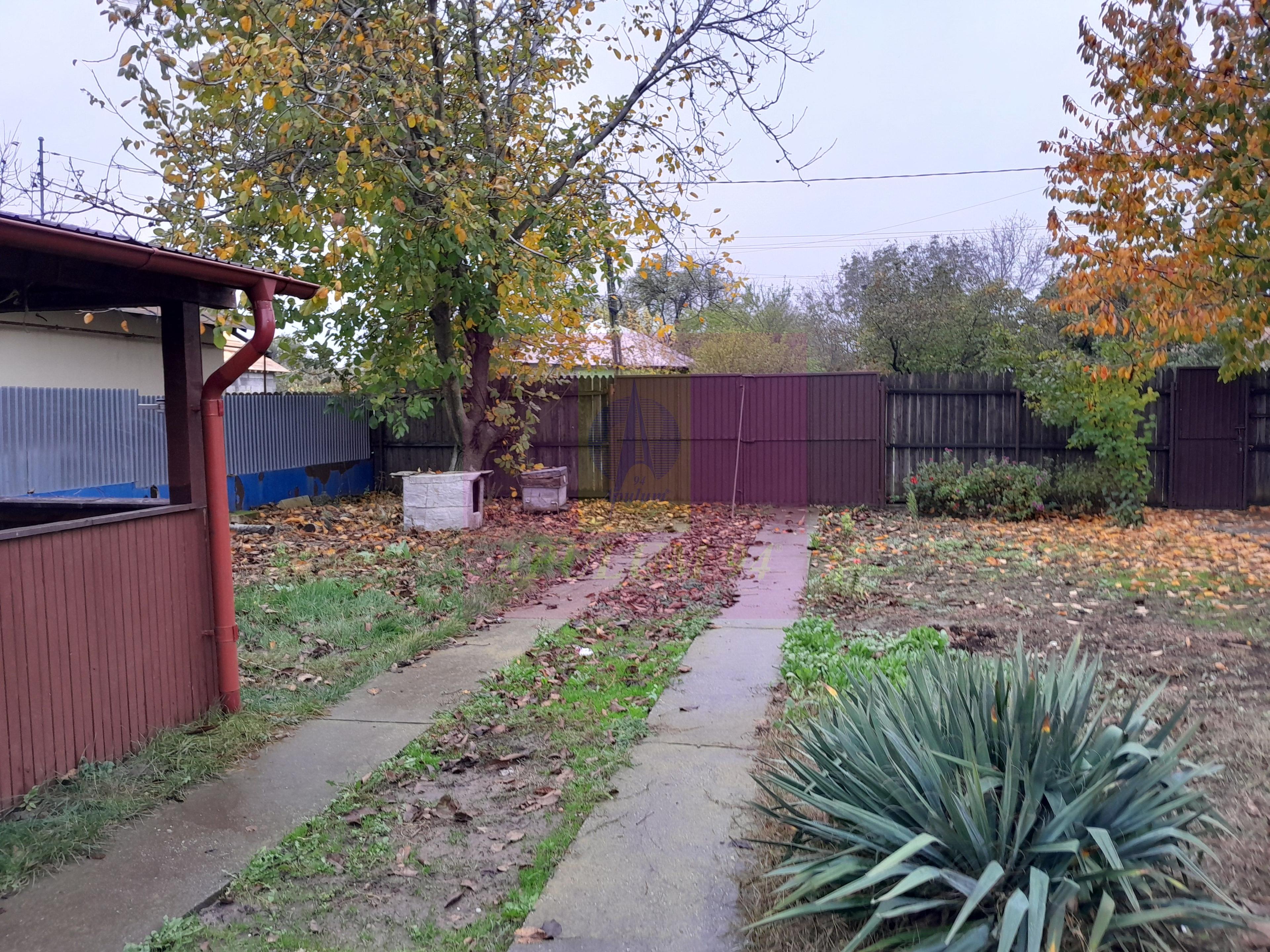 ILFOV - SE VINDE CASA IN ISLAZ / COM. BRANESTI - 51