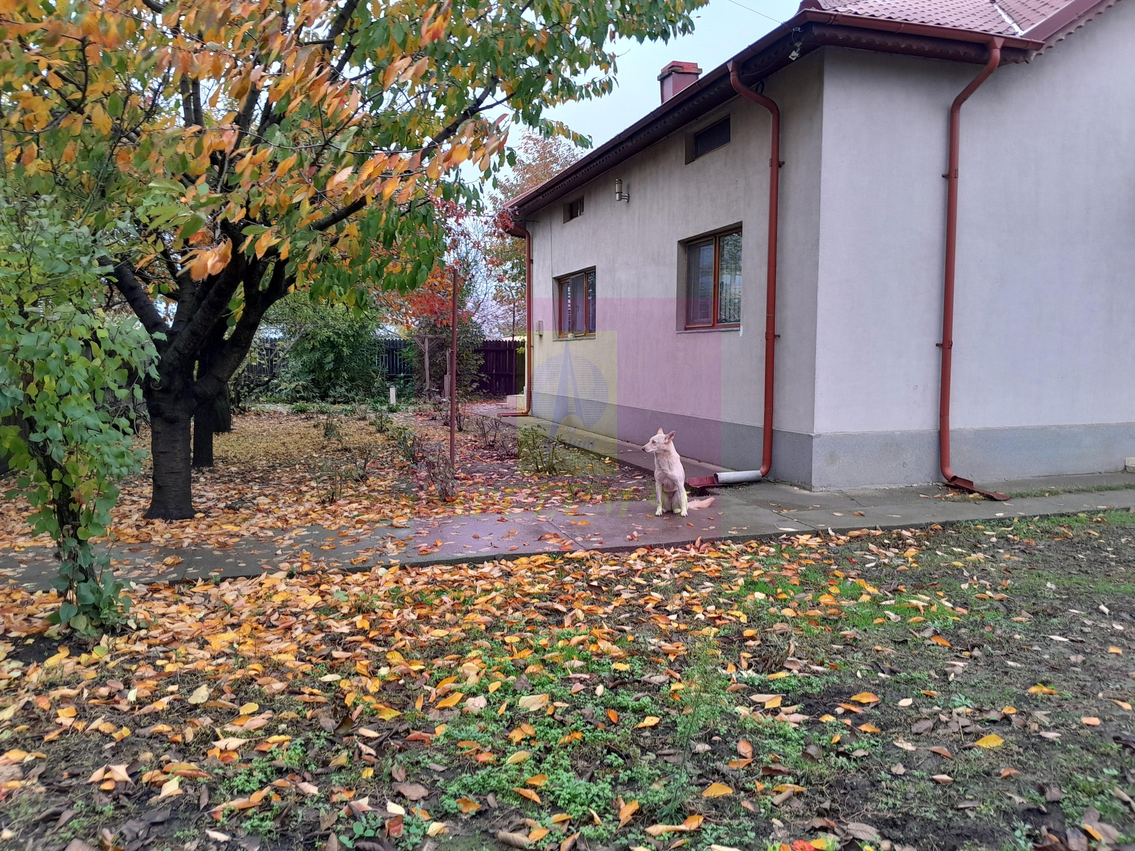 ILFOV - SE VINDE CASA IN ISLAZ / COM. BRANESTI - 6