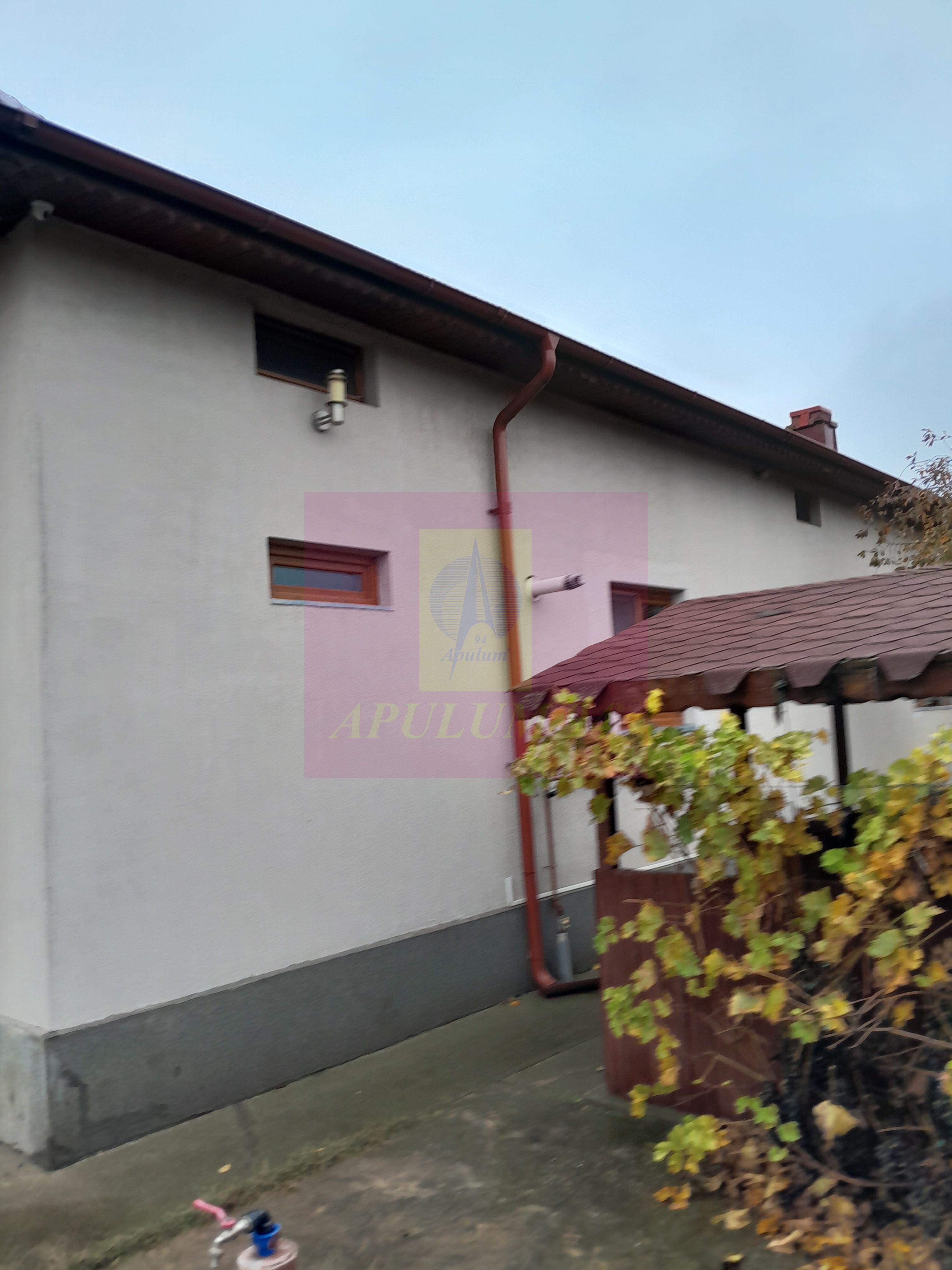 ILFOV - SE VINDE CASA IN ISLAZ / COM. BRANESTI - 31