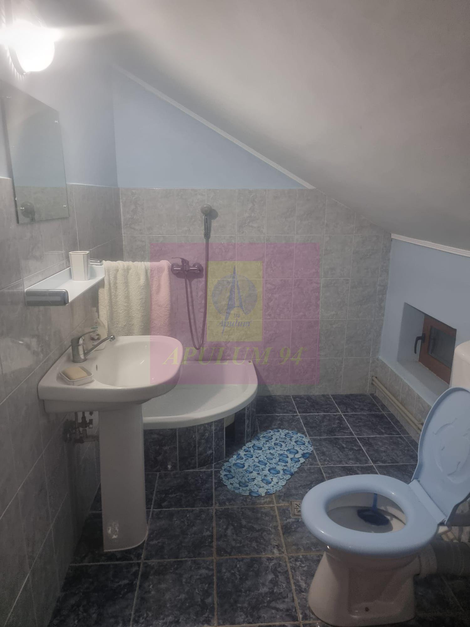 ILFOV - SE VINDE CASA IN ISLAZ / COM. BRANESTI - 16
