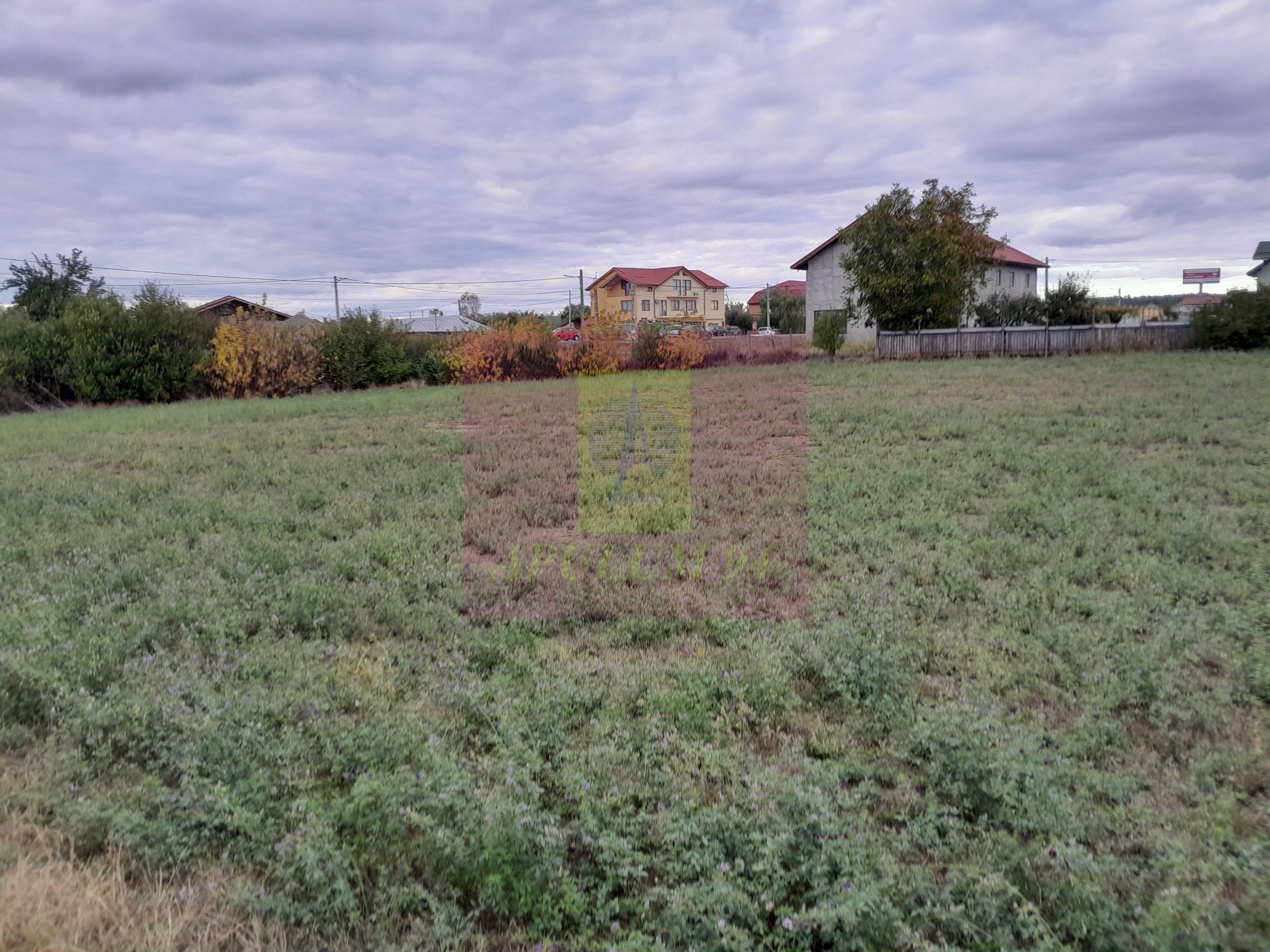 COSERENI (IL) - SE VINDE TEREN 2000 MP LA SOS BUCURESTI -URZICENI - 11