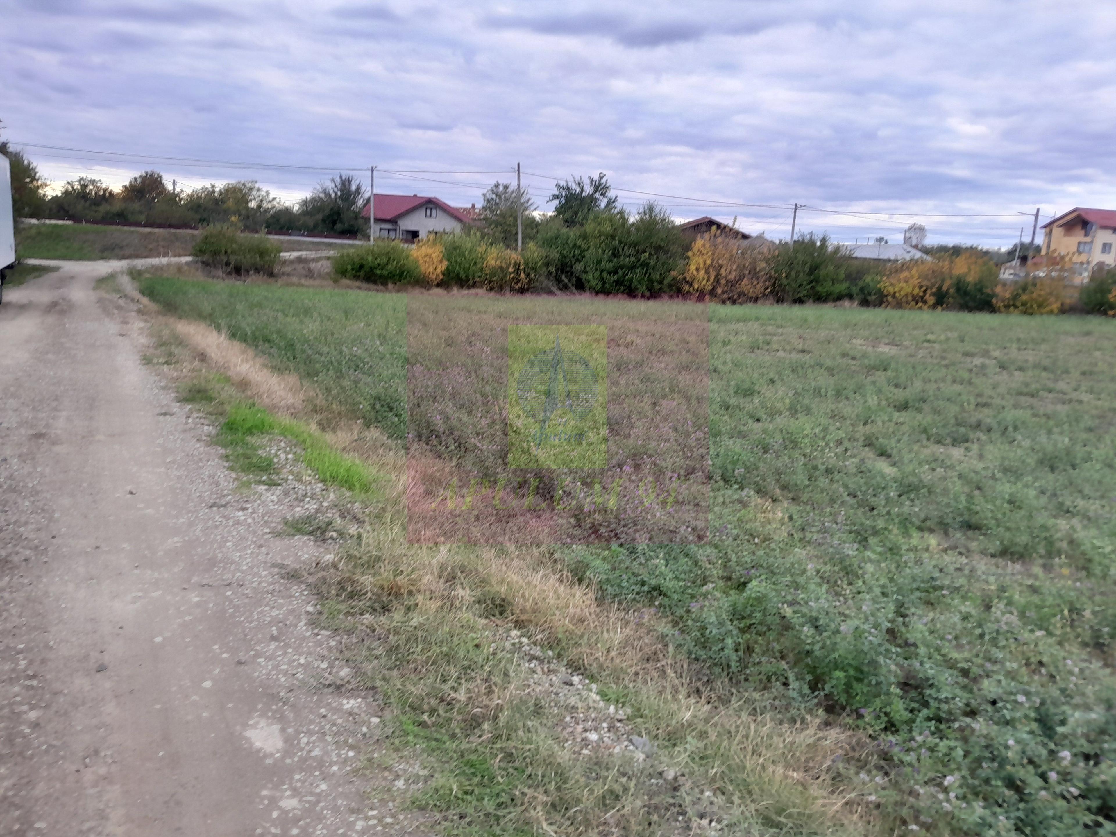 COSERENI (IL) - SE VINDE TEREN 2000 MP LA SOS BUCURESTI -URZICENI - 12