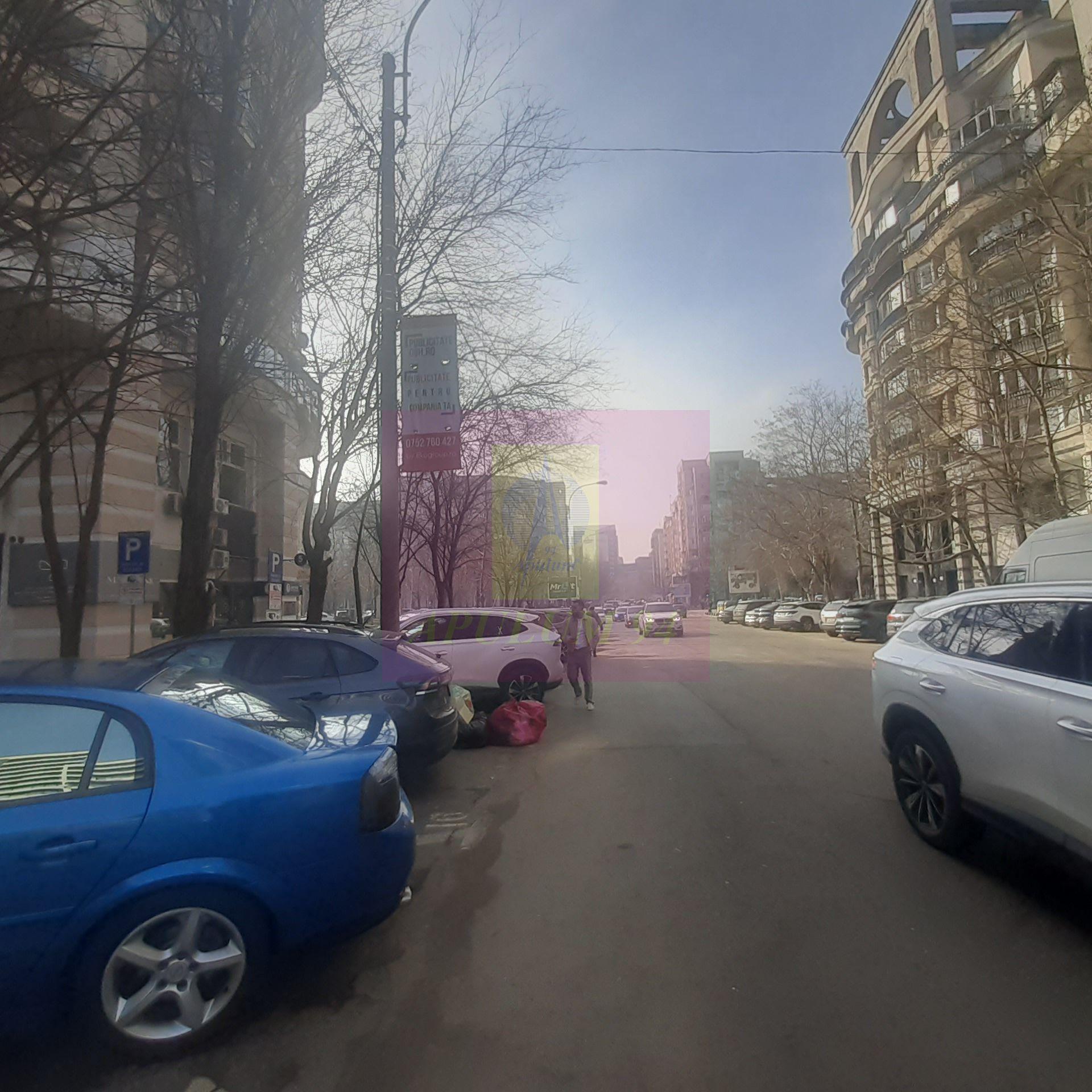 Spatiu Comercial Stradal Șoseaua Colentina zona Teiul Doamnei Suveica - 38