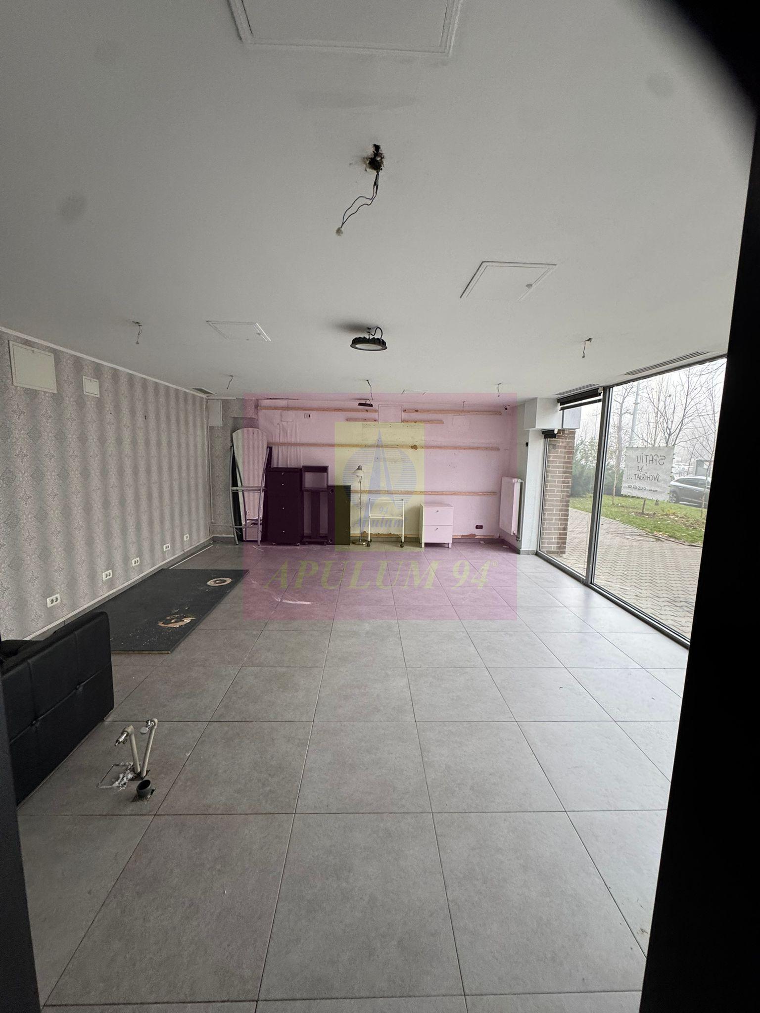 Spatiu Comercial Stradal Șoseaua Colentina zona Teiul Doamnei Suveica - 22