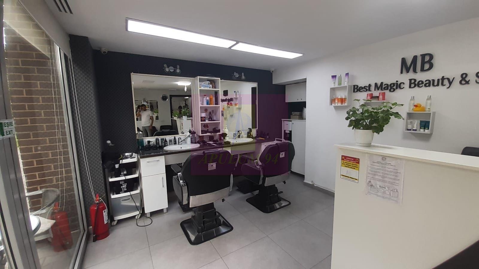 Spatiu Comercial Stradal Șoseaua Colentina zona Teiul Doamnei Suveica - 23