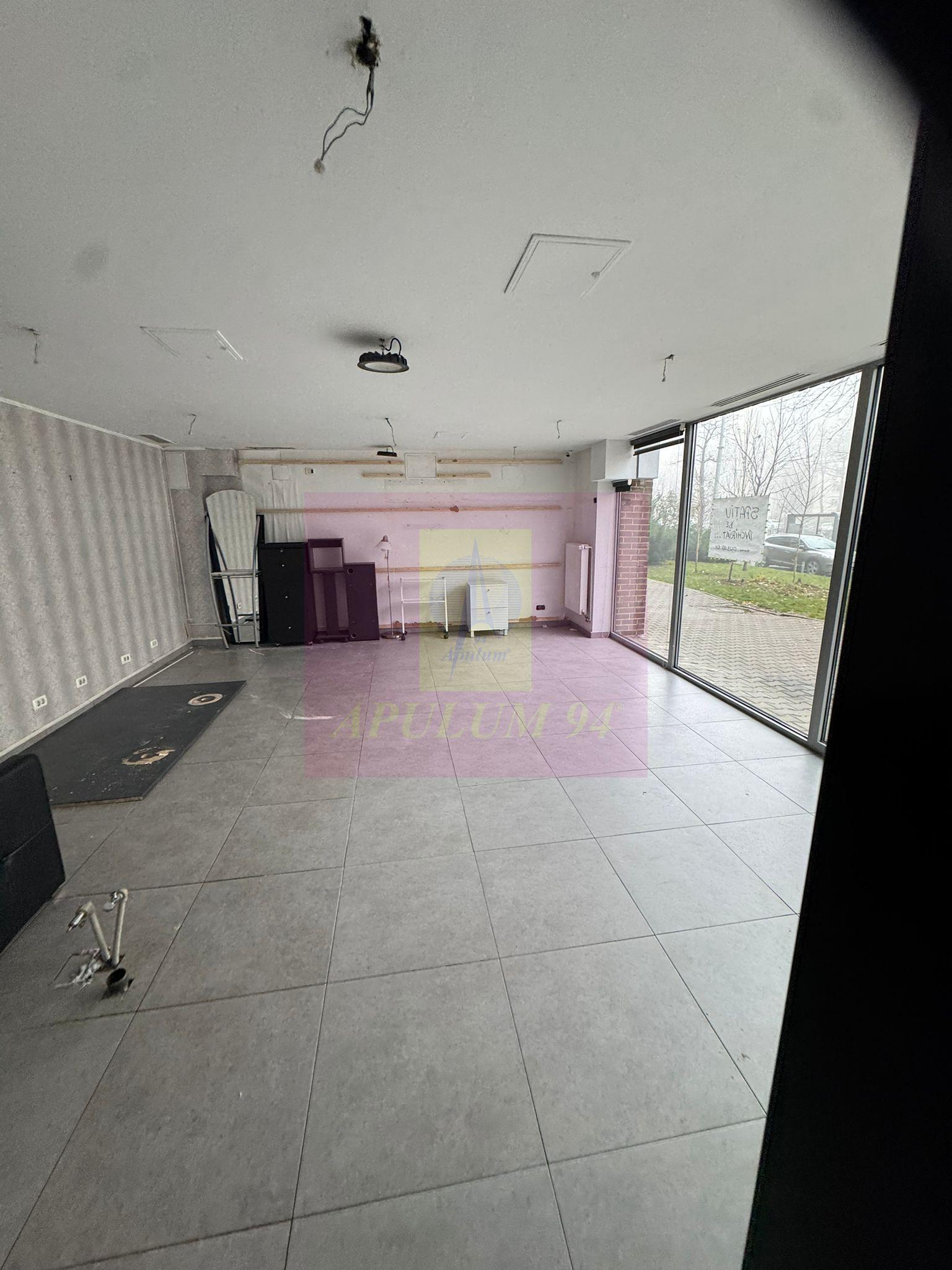 Spatiu Comercial Stradal Șoseaua Colentina zona Teiul Doamnei Suveica - 16