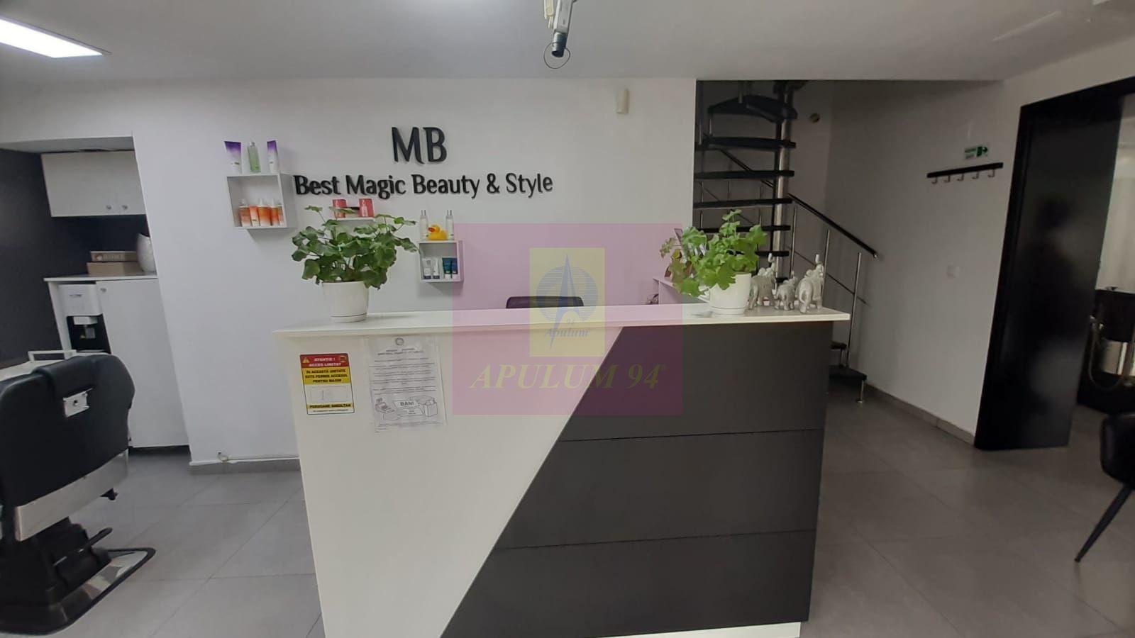 Spatiu Comercial Stradal Șoseaua Colentina zona Teiul Doamnei Suveica - 24