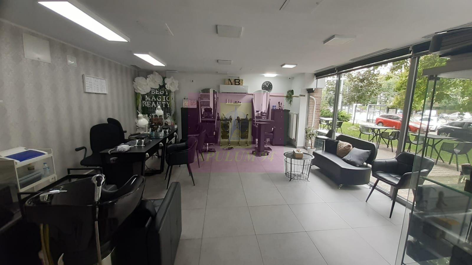 Spatiu Comercial Stradal Șoseaua Colentina zona Teiul Doamnei Suveica - 1
