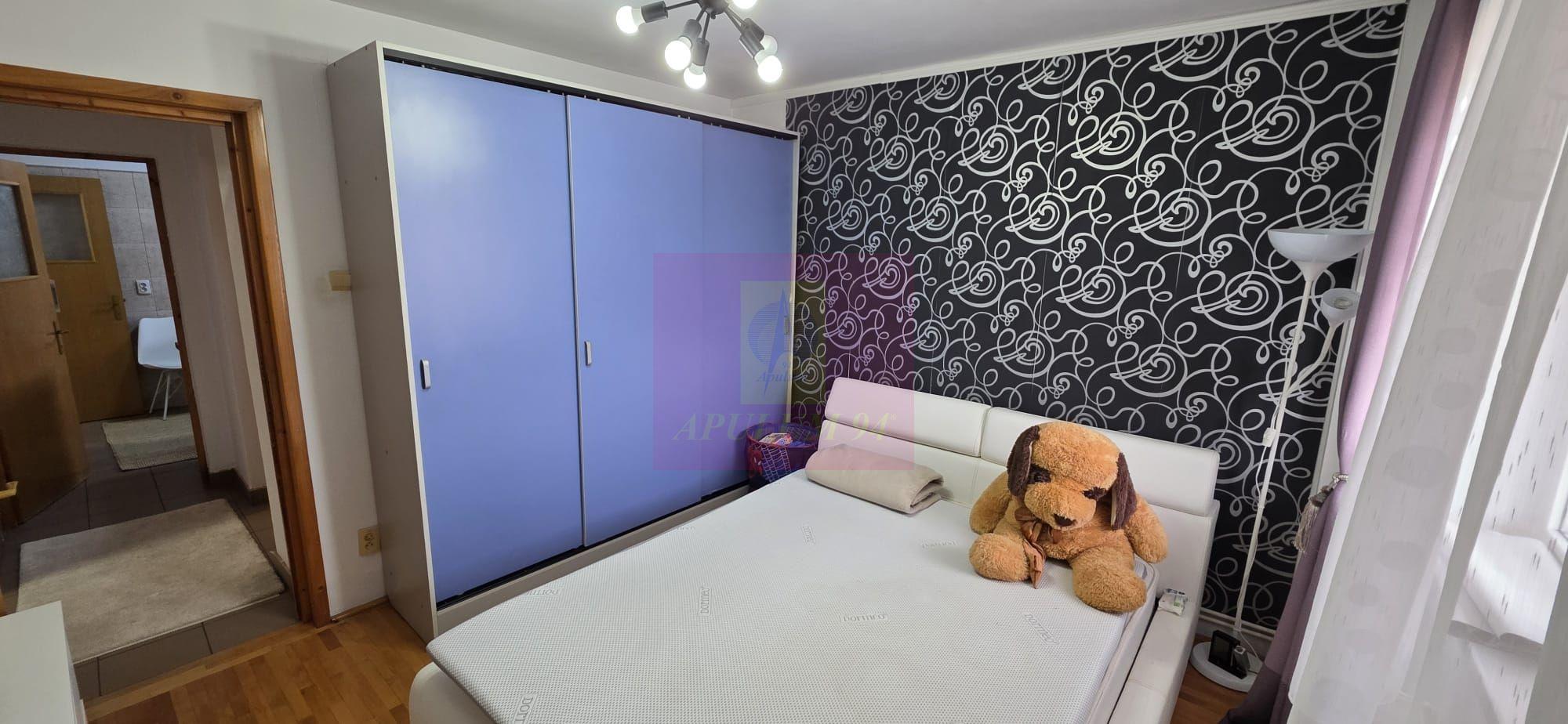 Apartamnet cu 2 cmere de vanzare in Campina - 7