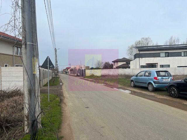 Teren Domnesti- Drumul Targului. - 3